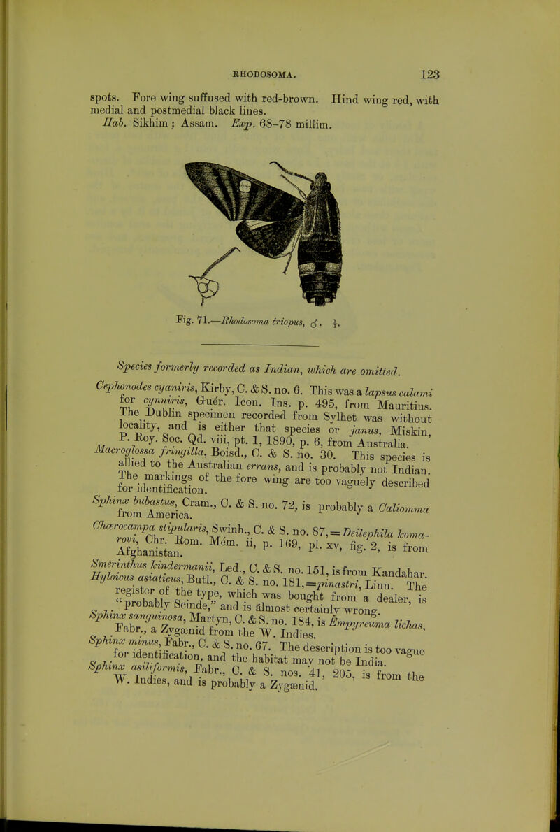 spots. Tore wing suffused with red-brown. Hind wing red, with medial and postmedial black lines. Hah. Sikhim ', Assam. Exp. 68-78 miilim. Species formerly recorded as Indian, which are omitted. Cephonodes cyani^is^Kivhj, C. & S. no. 6. This was a lapsus calami for cynmms, Guer. Icon. Ins. p. 495, from Mauritius. lhe l)ubhn specimen recorded from Sylhet was without locahtj and IS either that species or janus, Miskin, Mn. n 7 ^' ^' ^^^^ Australia. Macroglossa frmgtlla, Boisd., 0. & S. no. 30. This species is allied to the Australian errans, and is probably not Indian forXSoo' ™« are too vaguely described 0 8'- r ''''' reffister oF t^f f- u If l.=P*^«s«n, Lmn. The SobabLv ZIP' 7' ^''^^^ ^ dealer, is probably bcmde, and is almost certainly wronff ophma; sanc/umosa.MartvJi 0 <feS nn 1«/L ;a / ^' 7-■, . Fabr.,'a Zyginid f/om tht W InS  ^ ?orXti/.1'-' dJscription is too vague .tor Identification, and the habitat may not be India >S^;.m^ as^l^form^s Fahr., C. & S. nos. 41, 205, is f;om the W. Indies, and is probably a Zvgcenid