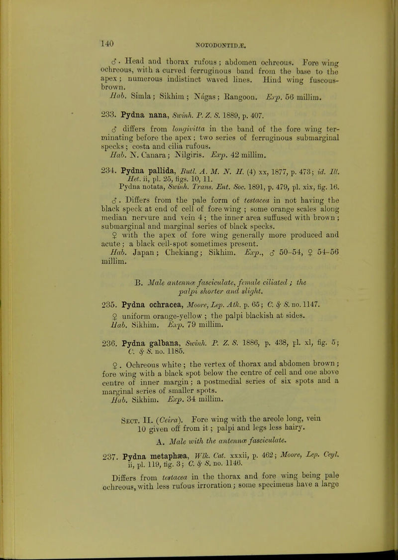 (S. Head and thorax rufous ; abdomen ochreous. Fore wing ochreous, with a curved ferruginous band from the base to the apex; numerous indistinct waved hues. Hind wing fuscous- brown. Bab. Simla ; Sikhim ; Nagas ; Eangoon. Ejp. 56 millim. 233. Pydna nana, Swinh. P. Z. S. 1889, p. 407. c? differs from longivitta in the band of the fore wing ter- minating before the apex; two series of ferruginous submarginal specks ; costa and cilia rufous. -^ai. N. Cauara; Nilgiris. -Krp. 42 miUim. 234. Pydna pallida, Butl. A. M. N. U. (4) xx, 1877, p. 473; id. 111. Rtt. ii, pi. 25, tigs. 10, 11. Pydna notata, Swinh. Trans. Mit. Soc. 1891, p. 479, pi. xix, fig. 16. S . Differs from the pale form of testacea in not having the black speck at end of cell of fore wing ; some orange scales along median nervure and vein 4; the inner area suffused with brov\ n ; submarginal and marginal series of black specks. 2 with the apex of fore wing generally more produced and acute; a black cell-spot sometimes present. Hab. Japan; Chekiang; Sikhim. Eay., (S 50-54, $ 54-56 millim. B. Male antennce fasciculate, female ciliated ; the paljpi shorter and slight. 235. Pydna ochracea, Moore, Lep. Ath. p. 65; C. Sf 8. no. 1147. 5 uniform orange-yellow ; the palpi blackish at sides. Idab. Sikhim. Exp. 79 milHm. 236. Pydna galbana, Sivinh. P. Z. S. 1886, p. 438, pi. xl, fig. 5; C. S. no. 1185. 2 . Ochreous white ; the vertex of thorax and abdomen brown ; fore wing with a black spot below the centre of cell and one above centre of inner margin; a postmedial series of six spots and a marginal series of smaller spots. Hub. Sikhim. Ex_p. 34 millim. Sect. II. (Ceira). Fore wing with the areole long, vein 10 given off from it; palpi and legs less hairy. A. Male with the antennce fasciculate. 237. Pydna metaphaea, Wlk. Cat. xxxii, p. 462; Moore, Lep. Ceyl. ii, pi. 119, tig. 3; C.SfS. no. 1146. Differs from testacea in the thorax and fore wing being pale ochreous, with less rufous irroration; some specimens have a large