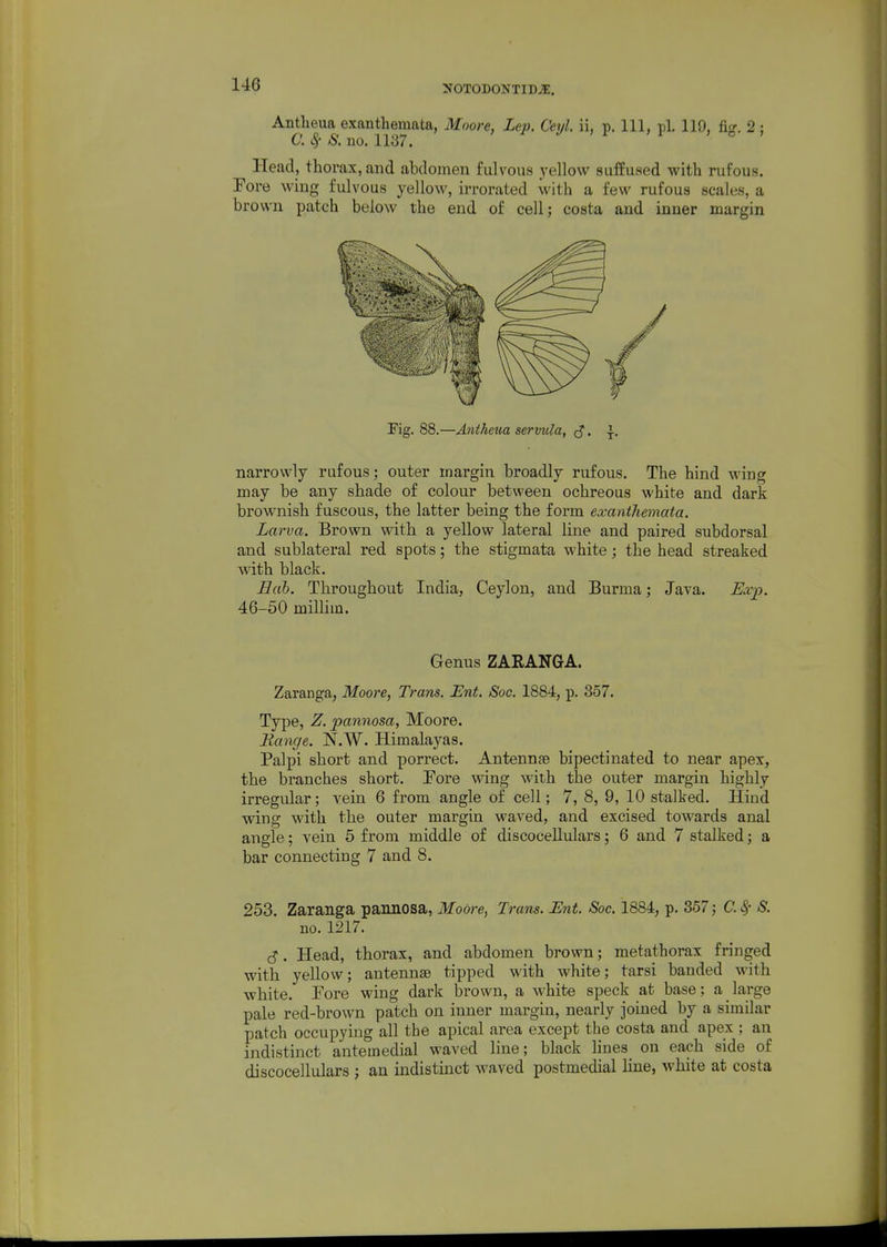 Antheua exanthemata, Moore, Lep. Ceyl. ii, p. Ill, pi. 119, fig. 2 ; C. Sf S. no. 1137. Head, thorax, and abdomen fulvous j-ellow suffused with rufous. Fore wing fulvous yellow, irrorated with a few rufous scales, a brown patch below the end of cell; costa and inner margin Fig. 88.—Antheua servula, . \. narrowly rufous; outer margin broadly rufous. The hind wing may be any shade of colour between ochreous white and dark brownish fuscous, the latter being the form exanthemata. Larva. Brown with a yellow lateral line and paired subdorsal and sublateral red spots; the stigmata white; the head streaked with black. Eah. Throughout India, Ceylon, and Burma; Java. Exp. 46-50 millim. Genus ZARANGA. Zaranga, Moore, Trans. JEnt. Soc. 1884, p. 357. Type, Z. pannosa, Moore. Batige. N.W. Himalayas. Palpi short and porrect. Antennae bipectinated to near apex, the branches short. Tore wing with the outer margin highly irregular; vein 6 from angle of cell; 7, 8, 9, 10 stalked. Hind wing with the outer margin waved, and excised towards anal angle; vein 5 from middle of discocellulars; 6 and 7 stalked; a bar connecting 7 and 8. 253. Zaranga pannosa, Moore, Tram. Ent. Soc. 1884, p. 357; C. S,- S. no. 1217. c^*. Head, thorax, and abdomen brown; metathorax fringed with yellow; antennae tipped with white; tarsi banded with white. Fore wing dark brown, a white speck at base; a large pale red-brown patch on inner margin, nearly joined by a similar patch occupying all the apical area except the costa and apex ; an indistinct antemedial waved line; black lines on each side of discocellulars ; an indistinct waved postmedial line, white at costa