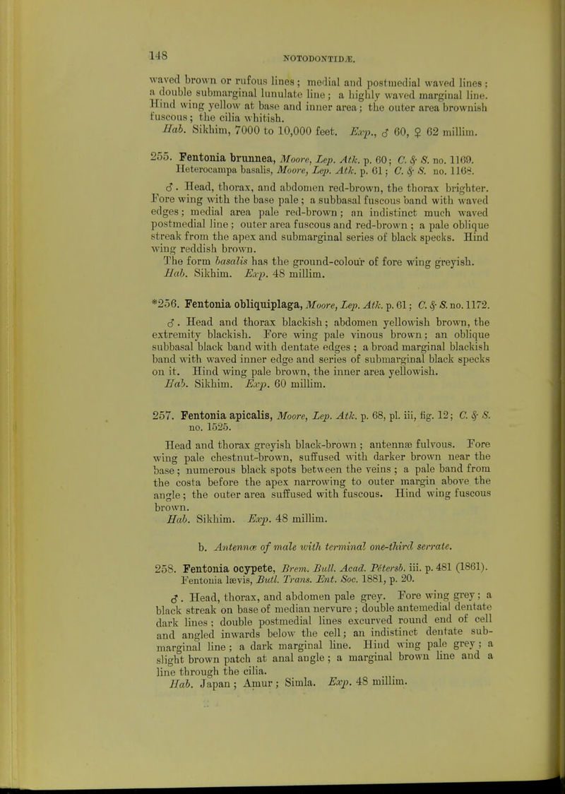 waved brown or rufous lines ; medial and postiuedial waved lines ; a double submarginal lunulate line; a bighly waved marginal line. Hind wing yellow at base and inner area; tbe outer area brownish fuscous ; tbe ciba whitish. Hob. Sikhim, 7000 to 10,000 feet. Exp., S 60, $ 62 millim. 255. Fentonia brunnea, Moore, Lep. Atk. p. 60; C, 8f S. no. 1169. Ileterocampa basalis, Moore, Lep. Atk. p. 61; C. S. no. 1168. . Head, thorax, and abdomen red-brown, the thorax brighter. Pore wing with the base pale; a subbasal fuscous band with waved edges; medial area pale red-brown; an indistinct much waved postmedial line ; outer area fuscous and red-brown ; a pale oblique streak from tbe apex and submarginal series of black specks. Hind wing reddish brown. The form basalis has the ground-colour of fore wing greyish. Ilab. Sikhim. E.vp. 48 millim. *256. Fentonia obliquiplaga, Moore, Lep. Atk. p. 61; C. ^- 8. no. 1172. c?. Head and thorax blackish; abdomen yellowish brown, the extremity blackish. Fore wing pale vinous brown; an oblique subbasal black band with dentate edges ; a broad marginal blackish band with waved inner edge and series of submarginal black specks on it. Hind wing pale brown, the inner area yellowish. Eah. Sikhim. Exp. 60 millim. 257. Fentonia apicalis, Moore, Lep. Atk. p. 68, pi. iii, fig. 12; C. 8,- S. no. 1525. Head and thorax greyish black-brown ; antennae fulvous. Fore wing pale chestnut-brown, suffused with darker brown near the base; numerous black spots between the veins ; a pale band from the costa before the apex narrowing to outer margin above the angle ; the outer area suffused with fuscous. Hind wing fuscous brown. Hab. Sikhim. Exp. 48 millim. b. Antenna} of male ivitJi terminal one-tJiird serrate. 258. Fentonia ocypete, Brem. Bull. Acad. Petersb. iii. p. 481 (1861). Fentonia leevis, Bull. Tra7is. Ent. Soc. 1881, p. 20. S . Head, thorax, and abdomen pale grey. Fore wing grey; a black streak on base of median nervure ; double antemedial dentate dark lines ; double postmedial lines excurved round end of cell and angled inwards below the cell; an indistinct dentate sub- marginal line ; a dark marginal line. Hind wing pale grey; a slight brown patch at anal angle ; a marginal brown line and a line through the cilia. Hab. Japan ; Amur ; Simla. Exp. 48 millim.