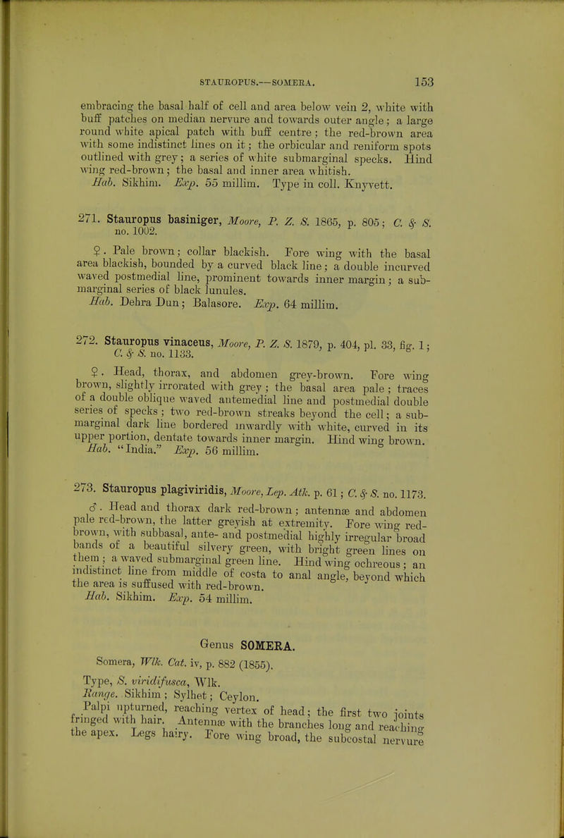 embracing the basal half of cell and area below vein 2, white with buff patches on median nervure and towards outer angle; a large I'ound white apical patch with buff centre; the red-brown area with some indistinct lines on it; the orbicular and reniform spots outlined with grey; a series of white submarginal specks. Hind wing red-brown; the basal and inner area whitish. Bah. Sikhini. Ex^. 55 millim. Type in coll. Knyvett. 271. Stauropus basiniger, Moore, P. Z. S. 1865, p. 805: C. & S. no. 10U2. ^ i' » 9 $. Pale brown; collar blackish. Pore wing with the basal area blackish, bounded by a curved black line; a double incurved waved postmedial line, prominent towards inner margin; a sub- marginal series of black lunules. Hah. Dehra Dun; Balasore. Exp. 64 millim. 272. Stauropus vinaceus, Moore, P. Z. S. 1879, p. 404, pi. 33, fig. 1: C. c^- S. no. 1133. $. Head, thorax, and abdomen grev-brown. Pore wing brown, shghtly irrorated with grey; the basal area pale ; traces of a double oblique waved autemedial line and postmedial double series of specks ; two red-brown streaks beyond the cell; a sub- marginal dark line bordered inwardly with white, curved in its upper portion, dentate towards inner margin. Hind wine brown ira6. India. ^.ty. 56 millim. 273. Stauropus plagiviridis, Moore, Lep. Atk. p. 61; C. ^ S. no. 1173. 6. Head and thorax dark red-brown; antenn£e and abdomen pale red-brown, the latter greyish at extremity. Pore wing red- brovvn, with subbasal, ante- and postmedial highly irreo-ular broad bands of a beautiful silvery green, with bright green lines on them ; a waved submarginal green hne. Hind wing ochreous ; an indistinct hne from middle of costa to anal angle, beyond which the area is suffused with red-brown. Bab. Sikhim. Exp. 54 milhm. Genus SOMERA. Somera, Wlk. Cat. iv, p. 882 (1855). Type, S. viriclifusca, Wlk. Range. Sikhim ; Sylhet; Ceylon. Palpi upturned, reaching vertex of head; the first two ioints ringed with hair Antenna) with the branches long and rea hW the apex. Legs hairy. Pore wing broad, the subcostal nervml