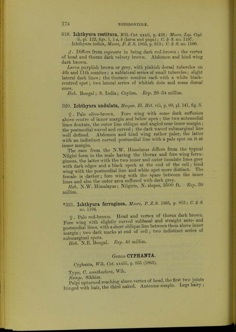 319. Ichthyura restitura, Wlk. Cat. xxxii, p. 438; Moore, Lep. Cetjl. ii, pi. 122, lig.s. 1, 1 a, 6 (larva and pii])a); C. 8f S. no. 1107. Ichthyura indica, Moore, P. Z. S. 1866, p. 813; C. ^ S. no. 1196. cJ. DiflTers from cupreata in being dark red-brown ; the vertex of head and thorax dark velvety brown. Abdomen and hind wing dark brown. Lai'va purplish brown or grey, wdth pinkish dorsal tubercles on 4th and 11th somites; a sublateral series of small tubercles ; slight lateral dai'k lines; the thoracic somites each with a white black- centred spot; two lateral series of whitish dots and some dorsal ones. Hah. Bengal; S.India; Ceylon, ^^.rp. 26-34 millim. 320. Ichthyura nndulata, Hmpsn. III. Set. viii, p. 60, pi. 141, fig. 3. 2 . Pale olive-brown. Fore wing with some dark suffusion above centre of inner margin and below apex; the two antemedial lines dentate, the outer line oblique and angled near inner margin; the postmedial waved and curved ; the dark waved submargiual line well defined. Abdomen and hind wing rather paler, the latter with an indistioct curved postmedial line with a pale spot on it at inner margin. The race from the N.W. Himalayas differs from the typical Nilgiri form in the male having the thorax and fore wing ferru- ginous, the latter with the two inner and outer lunulate lines grey with dark edges and a black speck at the end of the cell; hind wing with the postmedial line and white spot more distinct. _ The female is darker; fore wing with the space between the inner lines and also the outer area suffused with dark grey. Eab. N.W. Himalayas; Nilgiris, N. slopes, 3500 ft. Exi^. 30 millim. *32]. Ichthyura ferruginea, Moore, P. Z. S. 1865, p. 813; C. 8,- S. no. 1194. 9 Pale red-bro\\TD. Head and vertex of thorax dark brown. Fore'wing with slightly curved subbasal and straight ante-and postmedial lines, with a short oblique line between them above mner margin; two dark marks at end of cell; two indistmct series ot submarginal spots. Mab. N.E. Bengal. Exp. 40 milhm. Genus CYPHANTA. Cyphanta, Wlk. Cat. xxxiii, p. 855 (1865). Type, C. xanilioclora, Wlk. S uptuSreaching above vertex of head, the first two joints fringed with hair, the third naked. Antenn^E simple. Legs hairy ;
