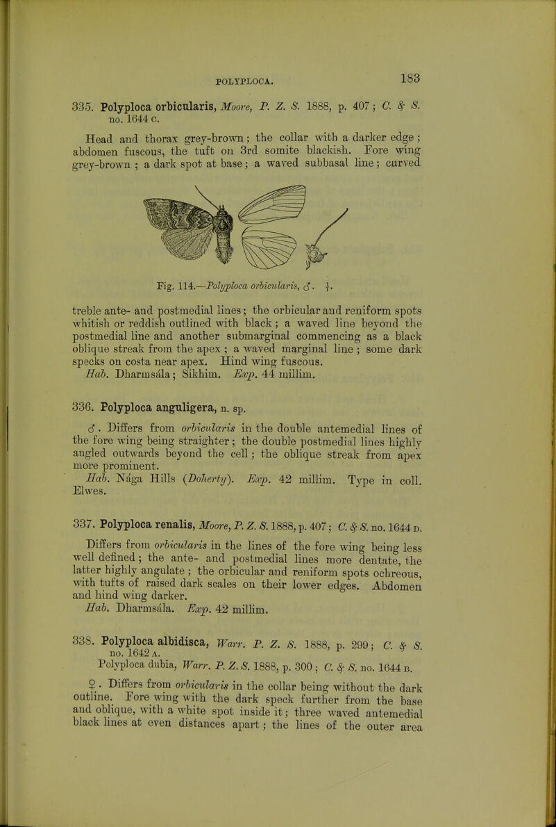 POLTPLOOA. 335. Polyploca orbicularis, Moore, P. Z. S. 1888, p, 407; C. 8r S. no.1644 c. Head and thorax grey-brown; the collar with a darker edge; abdomen fuscous, the tuft on 3rd somite blackish. Fore wing grey-brown ; a dark spot at base; a waved subbasal line; curved treble ante- and postraedial lines; the orbicular and reniform spots whitish or reddish outlined with black ; a waved line beyond the postmedial line and another submarginal commencing as a black oblique streak from the apex ; a waved marginal line ; some dark specks on costa near apex. Hind wing fuscous. Hob. Dharmsala; Sikhim. Kvp. 4:4: millim. 336. Polyploca anguligera, n. sp. S. Differs from orbicularis in the double antemedial lines of the fore wing being straighter; the double postmedial lines highlv angled outwards beyond the ceU; the oblique streak from apex more prominent. Hab. Naga Hills (DoJiertij). Exp. 42 millim. Type in coll. Elwes. 337. Polyploca renalis, Moore, P. Z. S. 1888, p. 407; C.^S. no. 1644 n. Differs from orbicularis in the lines of the fore wing being less well defined; the ante- and postmedial lines more dentate, the latter highly angulate ; the orbicular and reniform spots ochreous, with tufts of raised dark scales on their lower edges. Abdomen and hind wing darker. Hab. Dharmsala. Exp. 42 millim. 338. Polyploca albidisca, Warr. P. Z. S. 1888, p. 299; C. ii- S no. 1642 a. Polyploca dubia, Warr. P. Z. S. 1888, p. 300 ; C. ^ S. no. 1644 b. $ . Differs from orbicularis in the collar being without the dark outline. Fore wing with the dark speck further from the base and oblique, with a white spot inside it; three waved antemedial black lines at even distances apart; the lines of the outer area
