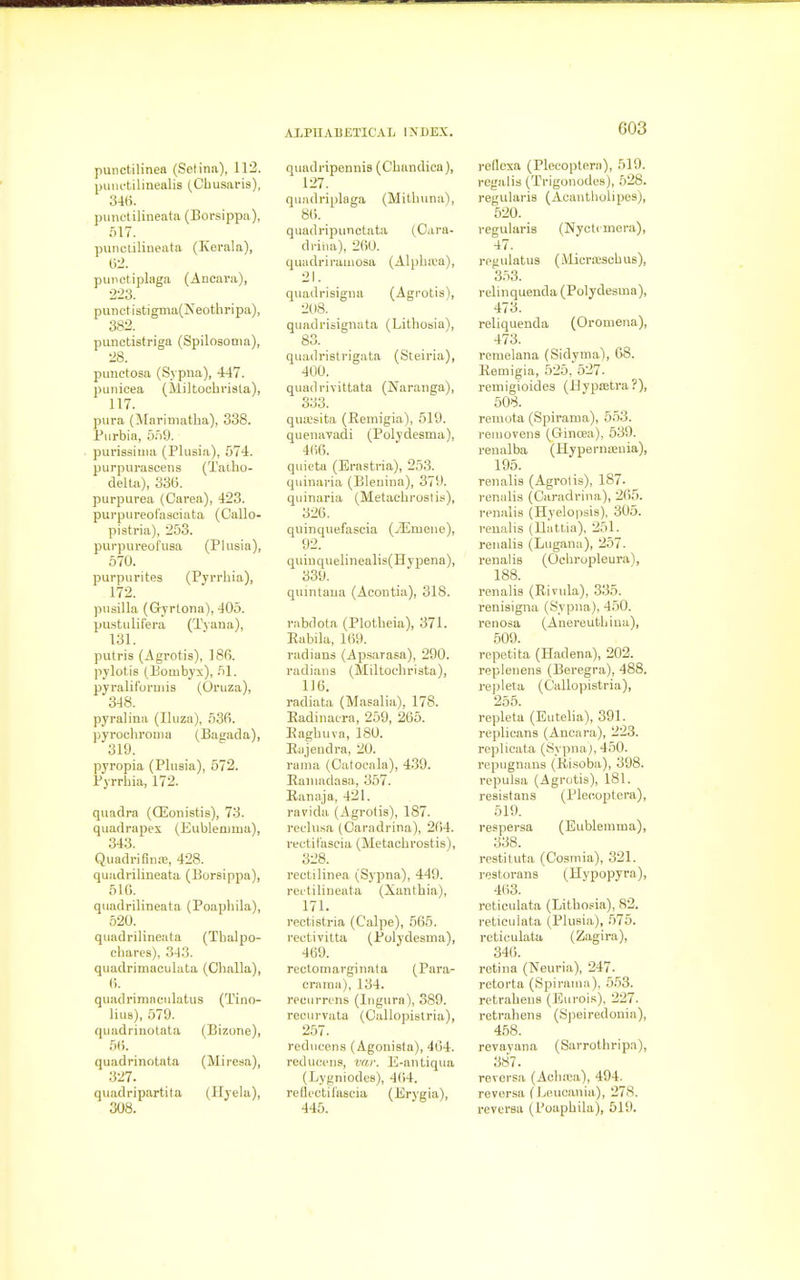 punctilinea (Selina), 112. puiR-tilinealis (Cbusaris), 346. punetilineata (Borsippa), iil7. punolilineata (Kerala), &2. punctiplaga (Ancai-a), ■223. punetistigma(Neothripa), 382. punctistriga (Spilosonia), 28. punctosa (Sypua), 447. punicea (Miltoobrista), 117. pura (Marimatha), 338. Purbia, 5.'i9. purissiiiui (Plusia), 574. purpurascens (Tatho- delUi), 335. purpurea (Oarea), 423. pui-pureolasciata (Callo- pistria), 253. purpureol'usa (P]usia), 570. purpiirites (Pyrrbia), 172. piisilla (Gyrtona), 405. pustiilif'era (Tyana), 131. putris (Agrotis), ISfi. pylotis (Bombyx), 51. pyralifuruiis (Oruza), 348. pyralina (Ihiza), 536. pyrocbronia (Bagada), 319. pyropia (Plusia), 572. Pyrrbia, 172. quadra (ffionistis), 73. quadrapex (Eubleauua), 343. Quadrifina;, 428. quadribneata (Borsippa), 510. quadribneata (Poapbila), 520. quadribneata (Tbalpo- cbares), 343. quadrimaculata (Challa), (■). quadrimaculatus (Tino- Hus), .579. quadrinotata (Bizone), 5(). quadrinotata (Miresa), quadripartila (Ilyehi), 308. ALPU.VBETICAL INDEX. quadripennis (Cbandica), 127. quadriplaga (Mitbuna\ 8(). quadripunctata (C.ira- drina), 2(iO. quadrirauiosa (Alpbiva), 21. quadrisigna (Agrotis), 208. quadrisignata (Lithosia), 83. quadristrigata (Steiria), 400. quadrivittata (Naranga), 333. qua;sita (Eemigia), 519. quenaTadi (Polydesma), 4(i6. quieta (Erastria), 253. quinaria (Bleuina), 379. quinaria (Metacbrostis), 326. quinquefascia (^Emene), 92. quinquelinealis(Hypena), 339. quintaua (Aeontia), 318. rabdota (Plotheia), 371. Kabila, 169. radians (Apsarasa), 290. radians (Miltoobrista), 116. radiata (Masalia), 178. Eadinacra, 259, 265. Eagbuva, 180. Eajendra, 20. rania (Oatocala), 439. Eaniadasa, 357. Eanaja, 421. ravida (Agrotis), 187. reclusa (Caradrina), 264. rectif'ascia (Metacbrostis), 328. rectilinea (Sypna), 449. rei'tilineata (Xantbia), 171. rectistria (Calpe), 565. reetivitta (Polydesma), 469. rectomarginata (Para- eraraa), 134. reeurrens (Ingura), 389. recurvata (Callopislria), 257. reducens (Agonista), 464. redu(;en.i, vw. E-antiqua (Lygniodes), 464. rellectii'ascia (Erygia), 445. 003 rcdcxa (Pleeoptera), 519. rcgalis (Trigonodes), 528. regularis (Acantbolipos), 520. regularis (Nyotcmera), 47. regulatus (MioriEsobus), 353. relinquenda (Polydesma), 473. reliquenda (Oromena), 473. remelana (Sidyma), 68. Eemigia, 525, 527. remigioides (Uypsetra?), 508. remota (Spirama), 553. reiuovens (GintBa), 539. renalba (Hypernteuia), 195. renalis (Agrotis), 187. rennlis (Caradrina), 2ti5. renalis (Hyelopsis), 305. renalis (Uiittia), 251. renalis (Lugana), 257. renalis (Oebropleura), 188. renalis (Eivida), 335. renisigna (Sypna), 450. renosa (Anereutbina), 509. repetita (Pladena), 202. replenens (Beregra), 488. repleta (Callopistria), 255. repleta (Eutelia), 391. replicans (Ancara), 223. replicata (8ypna), 450. repugnans (Risoba), 398. repulsa (Agrotis), 181. resistans (Plecioptera), 519. respersa (Eublemma), 338. restituta (Cosniia), 321. restorans (Hypopyra), 463. reticulata (Litho-oia), 82. reticulata (Plusia), .575. reticulata (Zagira), 346. retina (Neuria), 247. retorta (Spiraiua), 553. retrabens (Euroi.s), 227. retrabens (Speiredonia), 458. revayana (Sarrothripa), 387. reversa (Acb.T.a), 494. roversa (Leucania), 278. reversa (Poapbila), 519.