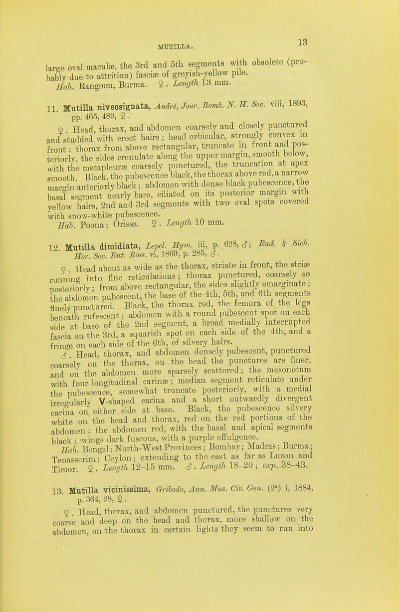 larc^o oval macule, the 3rd and 5th segments with obsolete (pro- bablv due to attrition) fascife of greyish-yellow pile. liah. Eangoon, Burma. ? . Lencjth 13 mm. 11 Mutilla niveosignata, Andr6, Jour. Bomb. N. H. Soc. viii, 1893, pp. 465, 480, 5. P Head thorax, and abdomen coarsely and closely punctured and studded'with erect hairs; head orbicular, strongly convex in front; thorax from above rectangular, truncate in front and pos- teriorly, the sides crenulate along the upper margin, smooth below, with the metapleurffi coarsely punctured, the truncation at apex smooth Black, the pubescence black, the thorax above red, a narrow marein anteriorly black ; abdomen with dense black pubescence, the basal segment nearly bare, ciliated on its posterior margin with yellow hairs, 2nd and 3rd segments with two oval spots covered with snow-white puhescence. Hah. Poena ; Orissa. $ . Lencjth 10 mm. 19 MutiUa dimidiata, Lepel. Hym. iii, p. 628, cJ; Had. Sr Sich. Hor. Soc. JEnt. Eoss. vi, 1869, p. 285, 0 Head about as wide as the thorax, striate in front, the striae runnincr into tine reticulations; thorax punctured, coarsely so nosteriorlv • from above rectangular, the sides slightly emargmate; [he abdomen pubescent, the base of the 4th, 5th and 6th segments finely punctured. Black, the thorax red, the femora of the legs beneath rufescent; abdomen with a round pubescent spot on each side at base of the 2nd segment, a broad medially interrupted fascia on the 3rd, a squarish spot on each side of the 4th, and a frincre on each side of the 6th, of silvery hairs. J Head thorax, and abdomen densely pubescent, punctured coarsely on the thorax, on the head the punctures are finer, and on the abdomen more sparsely scattered; the mesonotum with four longitudinal carinaj; median segment reticulate under the pubescence, somewhat truncate posteriorly, with a medial irreeularly V-shaped carina and a short outwardly divergent carina on either side at base. Black, the pubescence silvery white on the head and thorax, red on the red portions of the abdomen; the abdomen red, with the basal and apical segments black • -wings dark fuscous, with a purple effulgence. Hab. Bengal; North-WestProvinces; Bombay; Madras; Burma; Tenasserim T Ceylon; extending to the east as far as Luzon and Timor. ? . Length 12-15 mm. 6 . Length 18-20 ; exjJ. 38-43. 13 Mutilla vicinissima, Gribodo, Ann. Mus. Civ. Gen. (2) i, 1884, p. .364, 28, 2 . 9 . Head, thorax, and abdomen punctured, the punctures very coarse and deep on the head and thorax, more shallow on the abdomen, on the thorax in certain lights they seem to run into