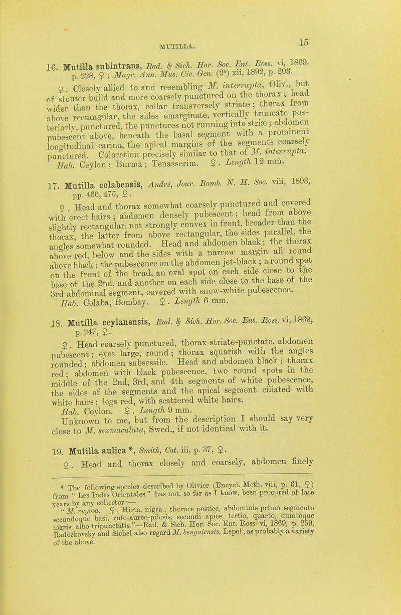 16. MutiUa subintrans, Rad. Sf Sich. Ilor. Soc Ent Rm, A 1869, p. 228, 2 ; Magr. Ann. Mus. Civ. Gen. (2) xii, 1892, p. JOd. 2 Closely allied to and resembling M. inien-upia, Oliv., but of stouter build and more coarsely punctured on the thorax ; head wider than the thorax, collar transversely striate; thorax trom above rectangular, the sides emargiuate, vertically truncate pos- teriorlv, punctured, the punctures not running into strife; abdomen pubescent above, beneath the basal segment with a prominent loncritudinal carina, the apical margins of the segments coarsely punctured. Coloration precisely similar to that of M. mterrupta. Hah. Ceylon ; Burma; Tenasserim. $ . Lencjili 12 mm. 17. Mutilla colal)ensis, AndrS, Jow: Bomb. N. H. Soc. viii, 1893, pp. 466, 475, 2 . 9 Head and thorax somewhat coarsely punctured and covered with erect hairs; abdomen densely pubescent; head from above sli<^htly rectangular, not strongly convex in front, broader than the thSrax the latter from above rectangular, the sides parallel, the angles'somewhat rounded. Head and abdomen black; the thorax above red. below and the sides with a narrow margin all round above black; the pubescence on the abdomen jet-black ; a round spot on the front of the head, an oval spot on each side close to the base of the 2nd, and another on each side close to the base ot the 3rd abdominal segment, covered with snow-white pubescence. Hab. Colaba, Bombay. $ . Length 6 mm. 18 Mutilla ceylanensis, Ead. ^ Sich. Hor. Soc Ent. Ross, vi, 1869, p.247, ?. Q Head coarsely punctured, thorax striate-punctate, abdomen pubescent; eyes large, round; thorax squarish with the angles rounded; abdomen subsessile. Head and abdomen black ; thorax red- abdomen with black pubescence, two round spots in the middle of the 2nd, 3rd, and 4th segments of white pubescence, the sides of the segments and the apical segment ciliated with white hairs; legs red, with scattered white hairs. Hah. Ceylon. ? . Lencith 9 mm. Unknown to me, but from the description I should say very close to M. sexmaculata, Swed., if not identical with it. 19. Mutilla aulica*, Smith, Cat. iii, p. 37, $. 5. Head and thorax closely and coarsely, abdomen finely * The following species described by Olivier (Encycl. M6th. viii, p. 61, $) from  Les Indes Orientales  has not, so far as I know, been procured of late years by any collector:—- , • , i ■ • ■ i. M rugosa. J. Hirta, nigra; thorace yiostice, abdominis prirao segmento Kpoimdoaue basi, rufo-aureo-pilosis, secundi apice, tertio, quarto, quintoque nlgHs albo-tripunctatis-'-Rid. & Sich. Hor. Soc. Ent. Boss, vi 1869, p. 259. RadozkovBky and Sichel also regard M. hengalensis, Lepel,, as probably a variety of tbe above.