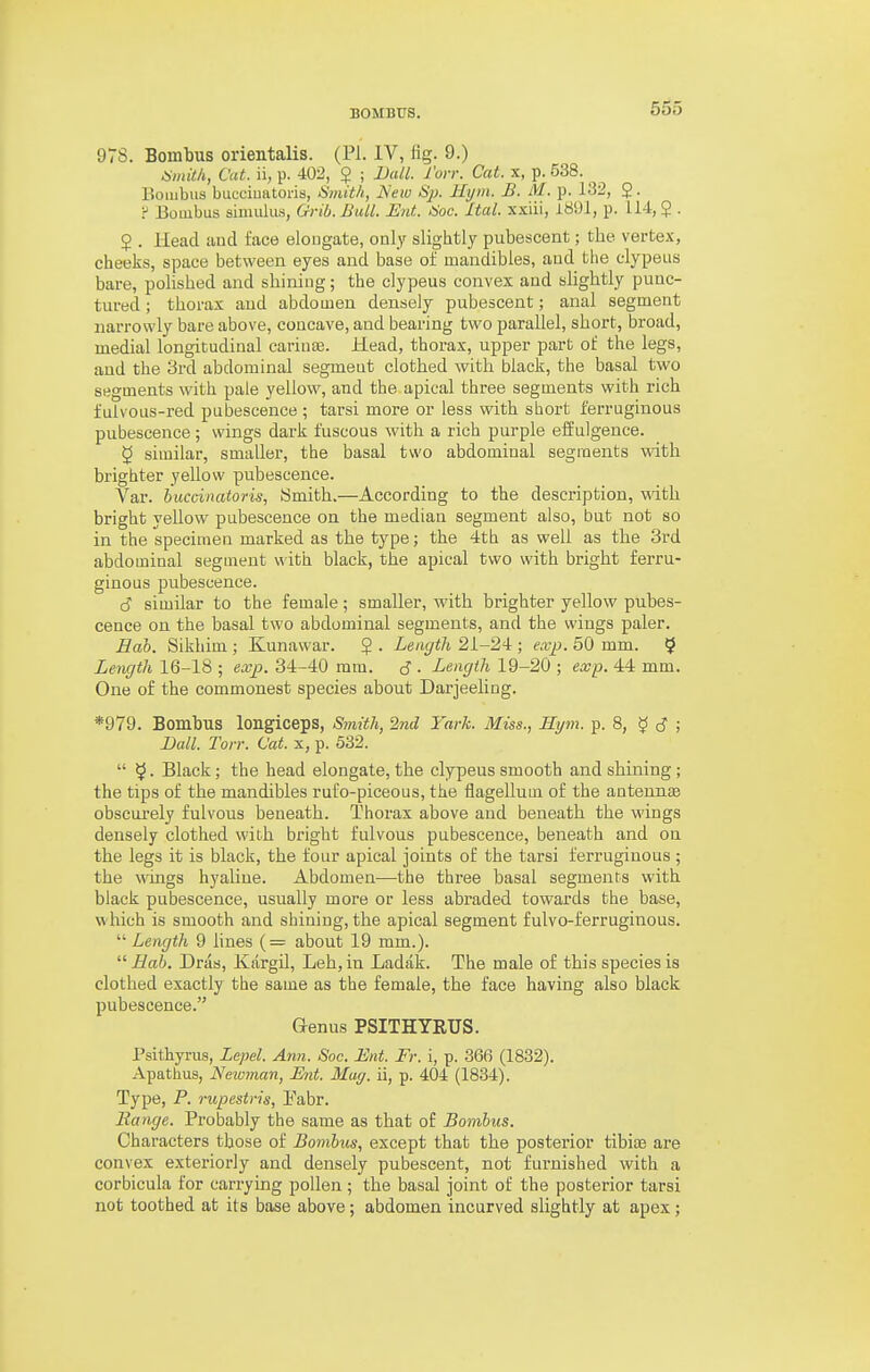 978. Bombus orientalis. (PI. IV, fig. 9.) Cat. ii, p. 402, $ ; Uall. I'on: Cat. x, p. 538. Boiiibus bucciuatoris, ISmith, Mew iSjj. llijm. B. M. p. 132, $. Y Boiubus simulus, Grib. Bull. But. <Soe. Ital. xxiii, 1891, p. 114, $ . $ . Head and face elongate, only slightly pubescent; the vertex, cheeks, space between eyes and base of mandibles, and the clypeus bare, polished and shining; the clypeus convex and slightly punc- tui-ed; thorax and abdomen densely pubescent; anal segment narrowly bare above, concave, and bearing two parallel, short, broad, medial longitudinal cariuEe. Head, thorax, upper part of the legs, and the 3rd abdominal segment clothed with black, the basal two segments with pale yellow, and the apical three segments with rich fuivous-ied pubescence ; tarsi more or less with short ferruginous pubescence; wings dark fuscous with a rich purple effulgence. 5 similar, smaller, the basal two abdominal segroents with brighter yellow pubescence. Var. huccinatoris, Smith.—According to the description, with bright yellow pubescence on the median segment also, but not so in the specimen marked as the type; the 4th as well as the 3rd abdominal segment with black, the apical two with bright ferru- ginous pubescence. c? similar to the female; smaller, with brighter yellow pubes- cence on the basal two abdominal segments, and the wings paler. Eab. Sikhim ; Kunawar. § . Lenyth 2i-24 ; exp. 50 mm. $ Length 16-18 ; exp. 34-40 mm. S ■ Length 19-20 ; exp. 44 mm. One of the commonest species about Darjeeling. *979. Bombus longiceps, S7nith, 2nd Yark. Miss., Hym. p. 8, $! cJ ; Ball. Ton: Cat. x, p. 532.  5. Black; the head elongate, the clypeus smooth and shining; the tips of the mandibles rul'o-piceous, the flagelluui of the antennae obscurely fulvous beneath. Thorax above and beneath the wings densely clothed with bright fulvous pubescence, beneath and on the legs it is black, the four apical joints of the tarsi ferruginous ; the wings hyaline. Abdomen—the three basal segments with black pubescence, usually more or less abraded towards the base, which is smooth and shining, the apical segment fulvo-ferruginous.  Length 9 hues (= about 19 mm.).  Bab. Driis, Kargil, Leh, in Ladak. The male of this species is clothed exactly the same as the female, the face having also black pubescence. Genus PSITHTRUS. Psithyrus, Lepel. Ann. Soc. Ent. Fr. i, p. 366 (1832). Apathus, Neivman, Ent. May. ii, p. 404 (1834). Type, P. rupestris, Eabr. Range. Probably the same as that of Bombus. Characters those of Bombus, except that the posterior tibiae are convex exteriorly and densely pubescent, not furnished with a corbicula for carrying pollen ; the basal joint of the posterior tarsi not toothed at its base above; abdomen incurved slightly at apex;