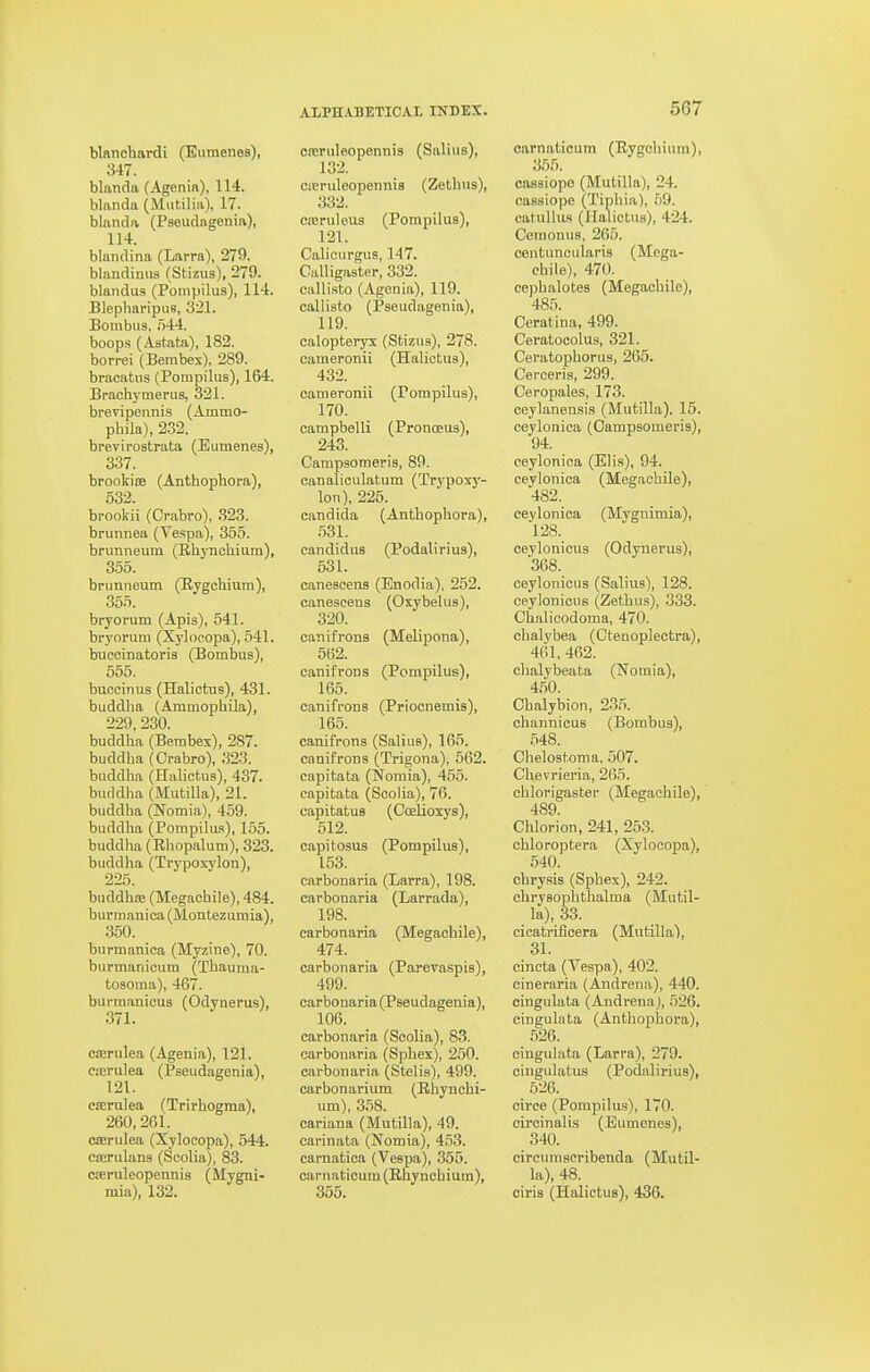 blanohardi (Eumenes), 347. blanda (Agenia), 114. blanda (Mutilia), 17. blandfi, (Pseudagenia), 114. blandina (Larra), 279. blandimis (Stizus), 279. blandus (Pompilus), 114. Blepliaripiis, 321. Bombus, .o44. boops (Astata), 182. borrei (Bembex), 289. bracatiis (Pompilus), 164. Brachj'tnerus, 321. brevipennis (Ammo- phila), 2.32. brevirostrata (Eumenes), 337. brookicB (Anthophora), 532. brookii (Crabro), 323. brunnea (Vespa), 355. brunneum (Bhynohium), 355. brunneum (Rygchium), 355. bryorum (Apis), 541. bryorura (Xj'locopa), 541. buccinatoris (Bombus), 555. buccinus (Halictus), 431. buddha (Ammophila), 229, 230. buddha (Bembex), 287. buddha (Orabro), 323. buddha (Halictus), 437. buddha (Mutilia), 21. buddha (Nomia), 459. buddha (Pompilus), 155. buddha (Rhopalum), 323. buddha (Trypoxylon), 225. buddhaj (Megachile), 484. burmanica (Montezumia), 350. burmanica (Myzine), 70. burmanioum (Thauma- tosoma), 467. burraanicus (Odvnerus), 371. ^ casrulea (Agenia), 121. cocrulea (Pseudagenia), 121. C£Brulea (Trirhogma), 260,261. cserulea (Xyloeopa), 544. caa-ulans (Scolia), 83. coeruleopennis (Mygni- mia), 132. creruleopennis (Salius), 132. creruleopennis (Zethus), 332. creruleus (Pompilus), 121. Calicurgus, 147. Calligaster, 332. callisto (Agenia), 119. callisto (Pseudagenia), 119. calopteryx (Stizus), 278. cameronii (Halictus), 432. cameronii (Pompilus), 170. campbelli (Pronoeus), 243. Campsomeris, 89. canaliculatum (Trypoxj-- lon), 225. Candida (Anthophora), .531. candidus (Podalirius), 631. canescens (Enodia). 252. caneseeus (Oxybelus), 320. canifrons (Melipona), 562. canifrons (Pompilus), 165. canifrons (Priocnemis), 165. canifrons (Salius), 165. canifrons (Trigona), 562. capitata (Nomia), 455. capitata (Soolia), 76. capitatus (Coelioxys), 512. capitosus (Pompilus), 153. carbonaria (Larra), 198. carbonaria (Larrada), 198. carbonaria (Megachile), 474. carbonaria (Parevaspis), 499. carbonaria (Pseudagenia), 106. carbonaria (Soolia), 83. carbonaria (Sphes), 250. carbonaria (Stelis), 499. carbonarium (Rhynchi- um), 358. cariana (Mutilia), 49. earinata (Nomia), 4.53. earnatica (Vespa), 355. carnaticum (Rliynchium), 355. carnaticum (Rygchium), 355. cassiopo (Mutilia), 24. cassiope (Tiphia), 59. catullus (Halictus), 424. Cemonus, 265. centuncularis (Mega- chile), 470. cephalotes (Megachile), 485. Ceratina, 499. Ceratocolus, 321. Ceratophorus, 265. Cereeris, 299. Ceropales, 173. ceylanensis (Mutilia). 15. ceyloniea (Campsomeris), 94. ceyloniea (El is), 94. ceyloniea (Megachile), 482. ceyloniea (Mygnimia), 128. oeylonicus (Odynerus), '368. oeylonicus (Salius), 128. ceylonicus (Zethus), 333. Ckalicodoma, 470. chalybea (Ctenoplectra), 461, 462. chalybeata (Nomia), 450. Chalybion, 235. channicus (Bombus), 648. Chelostoma, 507. Chevrieria, 265. chlorigaster (Megachile), 489. Chlorion, 241, 253. chloroptera (Xyloeopa), 540. chrysis (Sphex), 242. chrysophthalma (Mutil- ia), 33. cicatrificera (Mutilia), 31. cincta (Vespa), 402. cineraria (Andrena), 440. oingulata (Andrenaj, 526. eingulata (Anthophora), 526. eingulata (Larra), 279. cingulatus (Podalirius), 526. circe (Pompilus), 170. circinalis (Eumenes), 340. circumseribenda (Mutil- ia), 48. ciris (Halictus), 436.