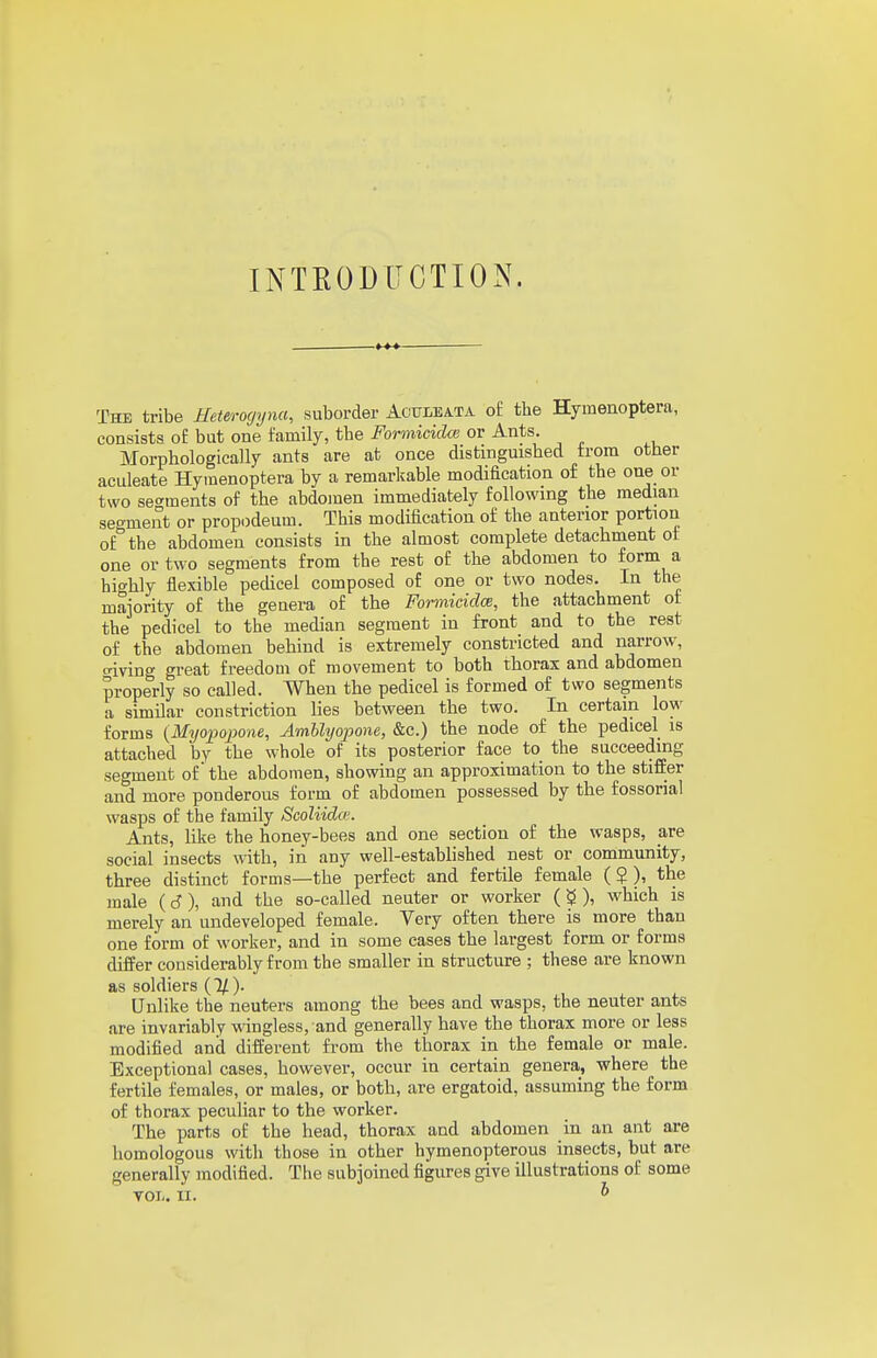 INTRODUCTION. The tribe Heterocjyna, suborder Aouleata o£ the Hymenoptera, consists of but one family, the Formicidce or Ants. Morphologically ants are at once distinguished from other aculeate Hymenoptera by a remarkable modification of the one or two set'ments of the abdomen immediately following the median segment or propodeum. This modification of the anterior portion of the abdomen consists in the almost complete detachment oi one or two segments from the rest of the abdomen to form a highly flexible pedicel composed of one or two nodes. In the majority of the genera of the Formicidm, the attachment of the pedicel to the median segment in front and to the rest of the abdomen behind is extremely constricted and narrow, o-iving great freedom of movement to both thorax and abdomen properly so called. When the pedicel is formed of two segments a similar constriction lies between the two. In certain low forms {Myopapone, Amblyopone, &c.) the node of the pedicel is attached by the whole of its posterior face to the succeeding segment of the abdomen, showing an approximation to the stiffer and more ponderous form of abdomen possessed by the fossorial wasps of the family Scoliida'. Ants, like the honey-bees and one section of the wasps, are social insects with, in any well-established nest or community, three distinct forms—the perfect and fertile female ( $ ), the male (6), and the so-called neuter or worker (^ ), which is merely an undeveloped female. Very often there is more than one form of worker, and in some cases the largest form or forms difi'er considerably from the smaller in structure ; these are known as soldiers (1/). Unlike the neuters among the bees and wasps, the neuter ants are invariably wingless, and generally have the thorax more or less modified and different from the thorax in the female or male. Exceptional cases, however, occur in certain genera, where the fertile females, or males, or both, are ergatoid, assuming the form of thorax peculiar to the worker. The parts of the head, thorax and abdomen in an ant are homologous with those in other hymenopterous insects, but are generally modified. The subjoined figures give illustrations of some VOL. II. ^