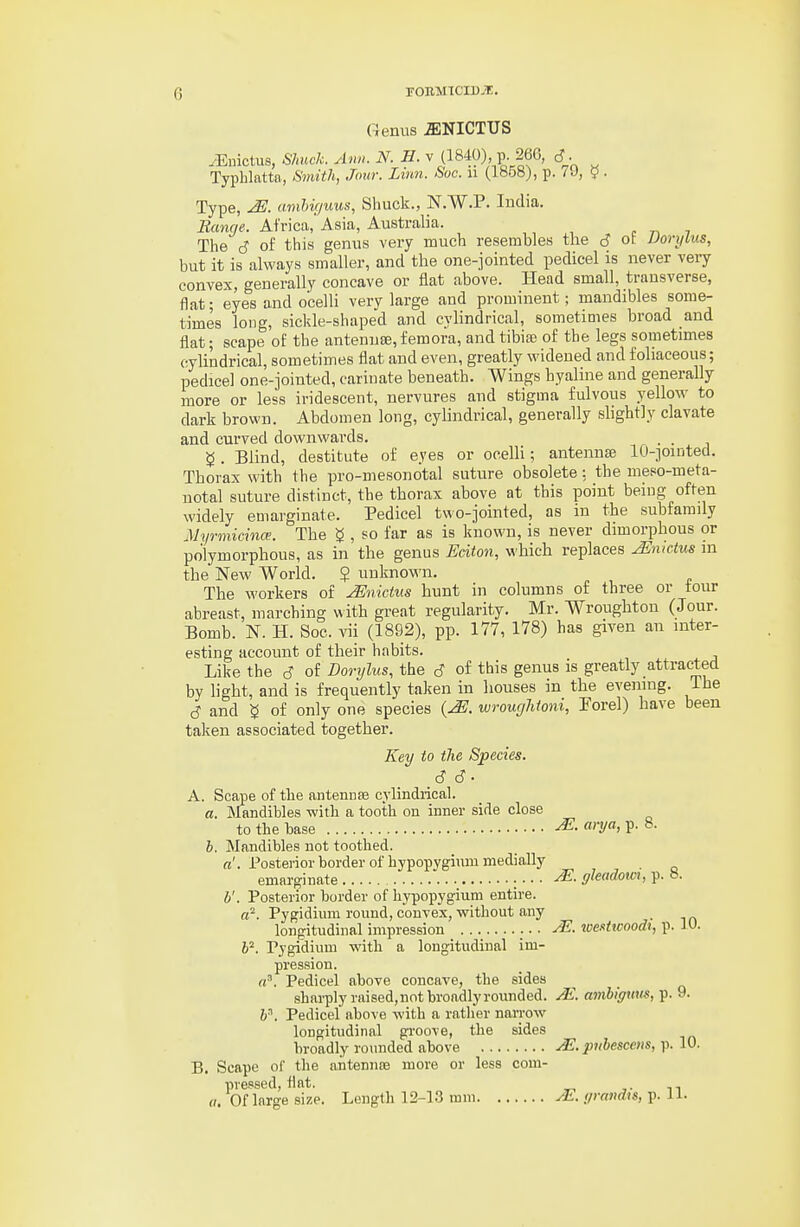 Genus ^NICTUS iEuictus, Shuck. Ann. N. H. v (1840) p 266, 6 - Typlnlatta, Smith, Jour. Linn. Soc. u (1858), p. 7J, 9 . Type, ^. amhif/uus, Shuck., N.W.P. India. Banne. Africa,' Asia, Australia. . „ 7 The c? of this genus very much resembles the d ot Uonjlus, but it is always smaller, and the one-jointed pedicel is never very convex, generally concave or flat above. Head small, transverse, flat; eyes and ocelli very large and prominent; mandibles some- times long, sickle-shaped and cylindrical, sometimes broad and flat; scape of the antenuee,femora, and tibias of the legs sometimes cylindrical, sometimes flat and even, greatly widened and foliaceous; pedicel one-jointed, carinate beneath. Wings hyaline and generally more or less iridescent, nervures and stigma fulvous yellow to dark brown. Abdomen long, cylindrical, generally slightly clavate and curved downwards. . . ^ . Blind, destitute of eyes or ocelli; antennas lO-jointed. Thorax with the pro-mesonotal suture obsolete: the meso-meta- uotal suture distinct, the thorax above at this point being often widely emarginate. Pedicel two-jointed, as in the subfamily Myrmicince. The g , so far as is known, is never dimorphous or polymorphous, as in the genus Eaton, which replaces J^Jmctus m the New World. ? unknown. The workers of JEnictus hunt in columns of three or tour abreast, marching with great regularity. Mr. Wroughton (Jour. Bomb. N. H. Soc. vii (1892), pp. 177, 178) has given an inter- esting account of their habits. Like the J of Dorylus, the S of this genus is greatly attracted by hght, and is frequently taken in houses in the evening. The cJ and ^ of only one species wroughtoni, Porel) have been taken associated together. Key to the Species. A. Scape of the antenuse cylindrical. a. jNlandibles with a tooth on inner side close to the base «':y«> P- ^• b. Mandibles not toothed. a'. Posterior border of hypopvgium medially emarginate  ; • • • ffJeadom, p. 8. b'. Posterior border of hypopygium entire, a^. Pygidium round, convex, without any longitudinal impression toexttcoodi, p. W. l^. Pygidium with a longitudinal im- pression. a^. Pedicel above concave, the sides sharply raised,not broadly rounded. yE. ambignus, p. 9. F. Pedicel above with a rather narrow longitudinal gi-oove, the sides broadly rounded above pubescens, p. 10. B, Scape of the antennre more or less com- pressed, flat. (I. Of large size. Length 12-13 mm yE. grandts, p. li.