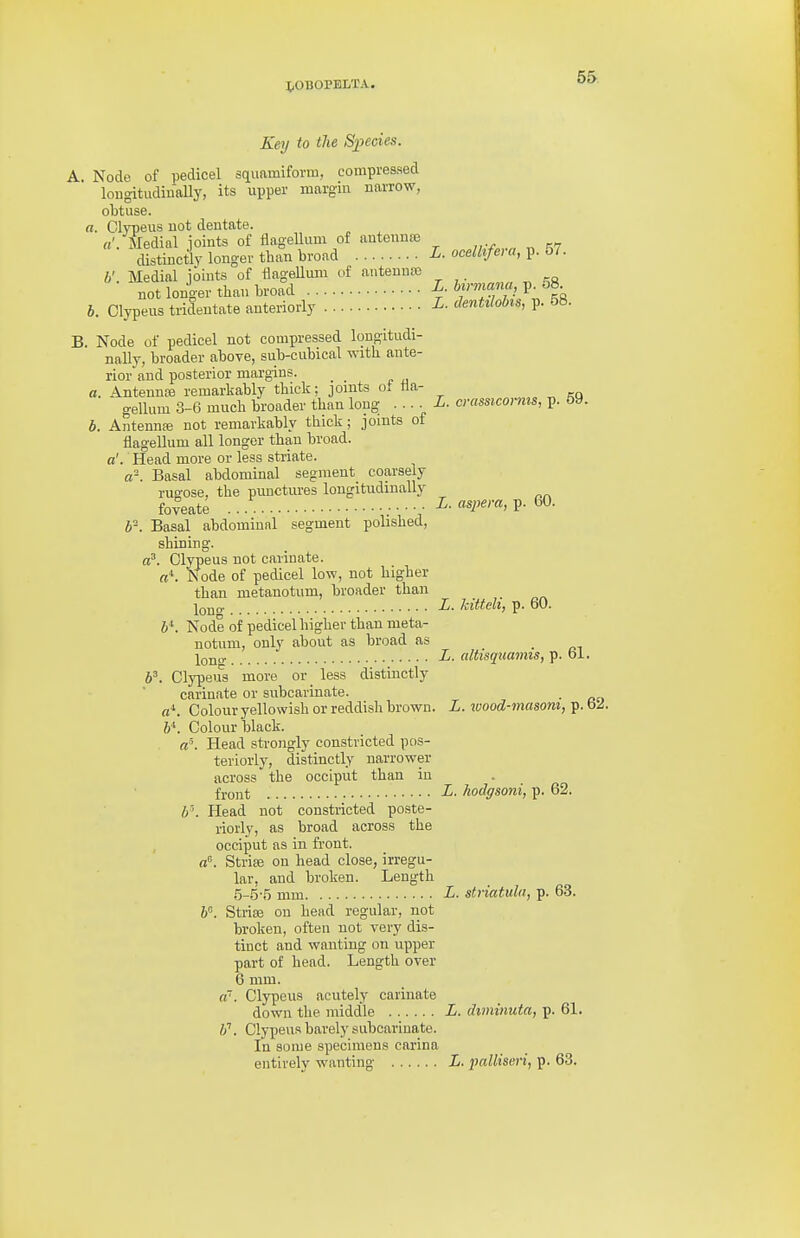 JiOBOPBLTA. Key to the Slides. A. Node of pedicel squamiforra, compressed lougitudinaUy, its upper margin narrow, obtuse. a. Clypeus not dentate. «'. Predial joints of fiagelliim of autennm distinctly longer than broad L. ocellife^ a, p. o7. b'. Medial ioints of flagellum of antennfc not longer than broad ^nTi'l\ % b. Clypeus tridentate anteriorly p. 08. B. Node of pedicel not compressed longitudi- nally, broader above, sub-cubical with ante- rior and posterior margins. a. Antennaj remarkably thick: joints ot Ha- gellum 3-6 much broader than long ■ ■ ■ ■ L. cvassicornis, p. 59. b. AnteunsB not remarkably thick; joints of fiagellum all longer than broad, a'. Head more or less striate. a-. Basal abdominal segment coarsely rugose, the punctures longitudinally foyeate ... ■ L- aspera, p. 60. b. Basal abdominal segment polished, shining. a^. Clypeus not carinate. a^. Node of pedicel low, not higher than metanotum, broader than j^QjjQ. L. kittelt, p. 60. S*. Node of pedicel higher than meta- notum, only about as broad as L. altisquamis, p. oi. 6^ Clypeus more or less distinctly carinate or subcarinate. . a^. Colour yellowish or reddish brown. L. zvood-masom, p. bZ. 6. Colour black. b'. Head strongly constricted pos- teriorly, distinctly narrower across the occiput than in front hodgsoni, p. 62. 6\ Head not constricted poste- riorly, as broad across the occiput as in front, fl. Strise on head close, irregu- lar, and broken. Length •5-5-5 mm L. striatuln, p. 63. 6. Strise on head regular, not broken, often not very dis- tinct and wanting on upper part of head. Length over 6 mm. a~. Clypeus acutely carinate down the middle L. diminuta, p. 61. Clypeus barely subcarinate. In some specimens carina entirely wanting £. palliseri, p. 63.