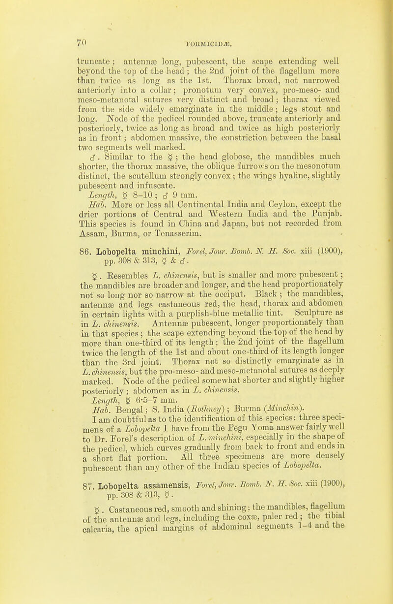 truncate ; antenufe long, pubescent, the scape extending well beyond the top of the head ; the 2nd joint of the flagellum more than twice as long as the 1st. Thorax broad, not narrowed anteriorly into a collar; pronotuni very convex, pro-meso- and meso-metanotal sutures very distinct and broad ; thorax viewed from the side widely emargiuate in the middle; legs stout and long. Node of the pedicel rounded above, truncate anteriorly and posteriorly, twice as long as broad and twice as high posteriorly as in front; abdomen massive, the constriction between the basal two segments well marked. cj. Similar to the ^ ; the head globose, the mandibles much shorter, tbe thorax massive, the oblique f urro\\ s on the mesonotum distinct, the scutellum strongly convex; the wings hyaline, slightly pubescent and infuscate. Length, ^ 8-10 ; cJ 9 mm. Hah. More or less all Continental India and Ceylon, except the drier portions of Central and Western India and the Punjab. This species is found in China and Japan, but not recorded from Assam, Biu-ma, or Tenasserim. 86. Lobopelta minchini, Forel, Jour. Bomb. N. H. Soc. sill (1900), pp. 308 & 313, ? & cJ. ^ . Eesembles L. cJiinensis, but is smaller and more pubescent; the mandibles are broader and longer, and the head proportionately not so long nor so narrow at the occiput. Black ; the mandibles, antennas and legs castaneous red, the head, Ihorax and abdomen in certain hghts with a purplish-blue metallic tint. Sculpture as in L. chinensis. Antennas pubescent, longer proportionately than in that species ; the scape extending beyond the toj) of the head by more than one-third of its length; the 2nd joint of the flagellum twice the length of the 1st and about one-third of its length longer than the 3rd joint. Thorax not so distinctly emarginate as in L. chinensis, but the pro-meso- and meso-metanotal sutures as deeply marked. Node of the pedicel somewhat shorter and slightly higher posteriorly; abdomen as in L. cJiinensis. Length, g 6*5-7 mm. Hab. Bengal; S. India, (Eothney); Burma (MiicZtm). I am doubtful as to the identification of this species: three speci- mens of a Lobojielta I have from the Pegu Toma answer fairly well to Dr. Porel's description of L. minchini, especially in the shape of the pedicel, w bich curves gradually from back to front and ends in a short flat portion. All three specimens are more densely pubescent than any other of the Indian species of Lobopelta. 87. Lobopelta assamensis, Fovel,Jour. Bomb. N. R. Soc xiii (1900), pp. .308 & 313, ^ . ^ . Castaneous red, smooth and shining: the mandibles, flagellum of the antennce and legs, including the coxvc, paler red ; the tibial calcaria, the apical margins of abdominal segments 1-4 and the