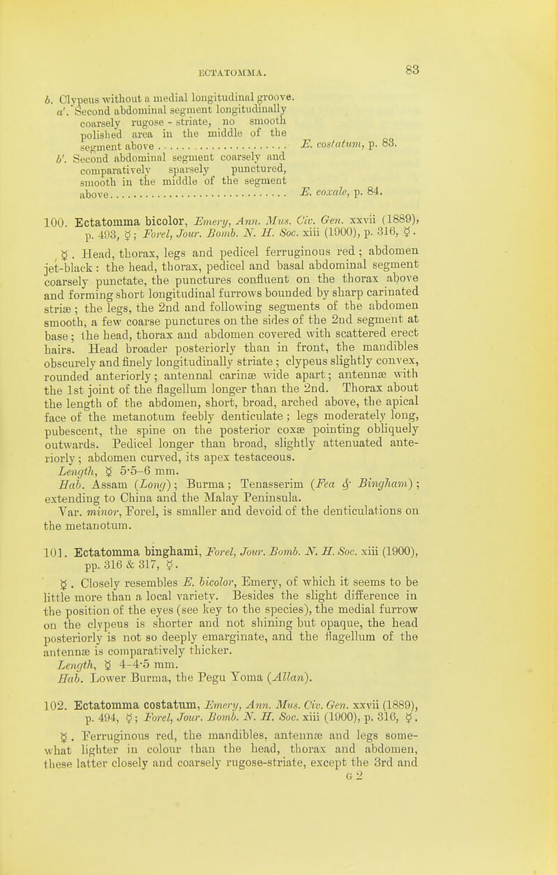 ECTATOMMA. b. Clypeus without n medial lougitiulinnl ^Toove. a'.Second abdominal segment longitudinally coarsely rugose - striate, no smooth Xjolislied area iu the middle of the segment above J^- costaUim, p. 83. b'. Second abdominal segment coarsely and comparatively sparsely punctured, smooth in the middle of the segment above E. coxale, ^. M. 100. Ectatomma bicolor, Emery, Ann. Mus. Civ. Gen. xxvii (1889), p. 493, ^; Forel, Jour. Bomh. N. R. Soc. xiii (1900), p. 316, ?. ^ . Head, thorax, legs and pedicel ferruginous red; abdomen jet-black : the head, thorax, pedicel and basal abdominal segment coarsely punctate, the punctures confluent on the thorax above and forming short longitudinal furrows bounded by sharp carinated stricB ; the legs, the 2nd and following segments of the abdomen smooth, a few coarse punctures on the sides of the 2nd segment at base; the head, thorax and abdomen covered with scattered erect hairs. Head broader posteriorly than in front, the mandibles obscurely and finely longitudinally striate; clypeus slightly convex, rounded anteriorly; antennal carina wide apart; antennae with the 1st joint of the flagellum longer than the 2nd. Thorax about the length of the abdomen, short, broad, arched above, the apical face of the metanotum feebly dejiticulate ; legs moderately long, pubescent, the spine on the posterior coxae pointing obliquely outwards. Pedicel longer than broad, slightly attenuated ante- riorly ; abdomen curved, its apex testaceous. Length, ^ 55-6 mm. Hah. Assam (Long); Burma; Tenasserim {Fea 4' Bingham) ; extending to China and the Malay Peninsula. Var. minor, Forel, is smaller and devoid of the denticulations on the metanotum. 101. Ectatomma binghami, Forel, Jour. Bomb. N. n. Soc. xiii (1900), pp. .316 & 317, ^ , Closely resembles E. bicolor, Emery, of which it seems to be little more than a local variety. Besides the slight difference in the position of the eyes (see key to the species), the medial furrow on the clypeus is shorter and not shining but opaque, the head posteriorly is not so deeply emarginate, and the tlagellum of the antennae is comparatively thicker. Length, g 4-4-5 mm. Bab. Lower Burma, the Pegu Yoma (Allan). 102. Ectatomma costatum, Emery, Ann. Mus. Civ. Gen. xxvii (1889), p. 494, 9 ; Forel, Jour. Bomb. N. H. Soc. xiii (1900), p. 316, § . ^ . Ferruginous red, the mandibles, antennae and legs some- what lighter in colour than the head, tliorax and abdomen, these latter closely and coarsely rugose-striate, except the 3rd and