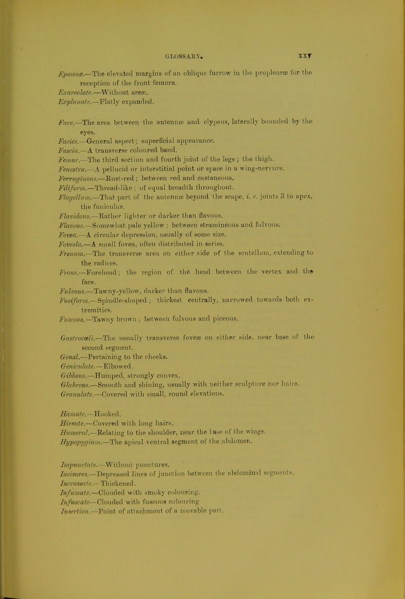 Epoimce.—The eleTated margins of an oblique furrow in the propleuroe for the reception of the front femora. Exareolaie.—Without area?. Kvplaiiate.—Flatly expanclecl. Face.—The area between the antennre and clypeus, laterally bdiinded by the eyes. Fades.—General aspect; superficial appearance. Fascia.—A transverse coloured band. Femur.—The third section and fourth joint of the legs ; the thigh. Fetiestra.—A pellucid or interstitial point or space in a wing-nervure. Ferruginous.—Eust-red ; between red and castaneous. Filiform.—Thread-like ; of equal breadlh throughout. Flagcllum.—That part of the antennaa beyond the scape, i. c. joints 3 to apex,, the funiculus. Flavidous.—Eather lightei- or darker tiian flavous. Flavous.—Somewhat ])ale yellow ; between stramineous and fulvous. Fovea.—A circular depression, nsually of some size. Foveola.—A small fovea, often distributed in series. Frenum.—The transvei-se area on either side of the scutellum, extending tO' the radices. Frons.—Forehead: the region of the head between the vertex and th» face. Fulvous.—Tawny-yellow, darker than flavous. Fusiform.—Spindle-shaped ; thickest centrally, narrowed towards both ex- tremities. Fuscous.—Tawny brown ; between fulvous and piceous. Gastrocceli.—The usually transverse fovete on either side, near base of the- .second segment. Genal.—Pertaining to the cheeks. Geniculate.—Elbowed. Gibbous.—Humped, strongly convex. Glabrotis.—Smooth and shining, nsually with neither sculpture nor liaii-s. Granulate.—Covered wiih small, round elevations. Hamate.—Hooked. Hirsute.—Covered with long bail's. Hmeral.—ILelating to the shoulder, near the Lase of the wings. Hypopt/ffimn.—The apical ventral segment of the abdomen. Impnvctaie.—Without punctures. /«cmre.s.—Depressed lines of junction between llie abdominal sognieuls. Incrassa/e.— Thickened. Infumate.—Clouded with smoky colouring. Infuscate—Clouded with fuscous colouring Insertion.—Point of attachment of a movable pari.