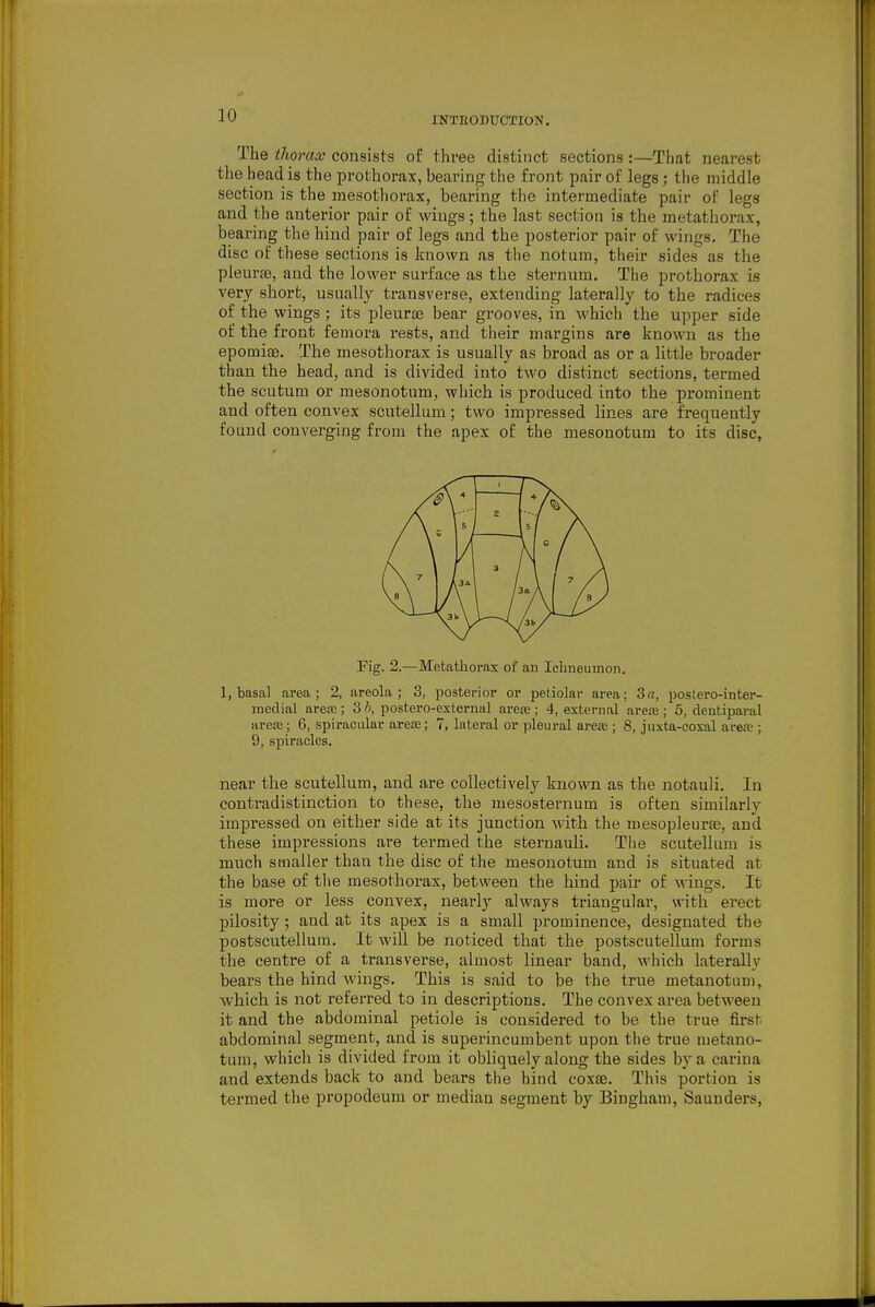 The thorax consists of three distinct sections:—That nearest the bead is the prothorax, bearing the front pair of legs; the middle section is the mesothorax, bearing tlie intermediate pair of legs and the anterior pair of wings; the last section is the metathorax, bearing the hind pair of legs and the posterior pair of wings. The disc of these sections is known as tlie notum, their sides as the pleur£B, and the lower surface as the sternum. The prothorax is very short, usually transverse, extending laterally to the radices of the wings ; its pleura3 bear grooves, in which the upper side of the front femora rests, and their margins are known as the epomiae. The mesothorax is usually as broad as or a little broader than the head, and is divided into two distinct sections, termed the scutum or mesonotum, which is produced into the prominent and often convex scutellum; two impressed lines are frequently found converging from the apex of the mesonotum to its disc, Fig. 2.—Metathorax of an Ichneumon. 1, basal area; 2, areola; 3, posterior or petiolar area; 3rt, postero-inter- medial areaj; 3 postero-extornal arere ; 4, external areaj; 5, dentiparal area); 6, spiracular area;; 7, lateral or pleural areas; 8, juxta-coxal area;; 9, spiracles. near the scutellum, and are collectively known as the notauli. In contradistinction to these, the mesosternum is often similarly impressed on either side at its junction with the mesopleurae, and these impressions are termed the sternauli. The scutellum is much smaller than the disc of the mesonotum and is situated at the base of the mesothorax, between the hind pair of wings. It is more or less convex, nearly always triangular, with erect pilosity; and at its apex is a small prominence, designated the postscutellum. It will be noticed that the postscutellum forms the centre of a transverse, almost linear band, which laterally bears the hind wings. This is said to be the true metanotum, which is not referred to in descriptions. The convex area between it and the abdominal petiole is considered to be the true first abdominal segment, and is superincumbent upon the true metano- tum, which is divided from it obliquely along the sides by a carina and extends back to and bears the hind coxae. This portion is termed the propodeum or median segment by Bingham, Saunders,