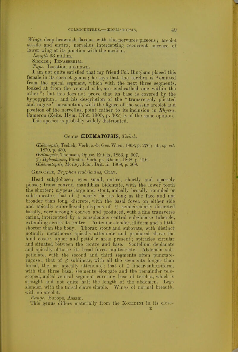 Winffs deep brownish flavoiis, with the nervures piceous; ai'eolet sessile and entire; nervelhis intercepting recurrent nervure oi; lower wing at its junction with the median. Length 33 millim. SlKKlM ; TEJfASSERIM, Type. Location unknown. I am not quite satisfied that my friend Col. Bingham placed this female in its correct genus ; he says that the terebra is  emitted from the apical segment, which with the next three segments, looked at from the ventral side, are ensheathed one within the other ; hut this does not prove that its base is covered by the hypopygium; and his description of the  transversely plicated and rugose mesonotum, with the figure of the sessile ai'eolet and position of the nervellus, point rather to its inclusion in Bhyssa. Cameron (Zeits, Hym. Dipt. 1903, p. 302) is of the same opinion. This species is probably widely distributed. Genus (EDEMATOPSIS, Tschelc. CEdemojm's, Tschek, Verb. z.-b. Ges. Wieu, 1868, p. 276 ; id., op. cit. 1870, p. 430. CEdimopsis, Thomson, Opuso. Ent. ix, 1883, p. 907. (?) Hybopha7ies, Forster, Yerh. pr. Rbeinl. 1868, p. 216. (Edematopsis, Morley, IcLn. Brit, iii 1908, p. 268. GEJfOTYPE, Tryplion scahriculus, Grav. Head subglobose; eyes small, entire, sliortly and sparsely pilose; frons convex, mandibles bidentate, with the lower tooth the shorter; clypeus large and stout, apically broadly rounded or subtruncate; that of c? nearly flat, as long as the face and not broader than long, discrete, with the basal fovea on either side and apically subreflexed; clypeus of 5 semicircularly discreted basally, very strongly convex and produced, with a fine transverse carina, intercepted by a conspicuous central subglobose tubercle, extending across its centre. Antennce slender, filiform and a little shoi'ter than the body. Thoi'ax stout and subovate, with distinct notauli; metathorax apically attenuate and produced above the hind coxae ; upper and petiolar arece present; spiracles circular and situated between the centre and base. Scutellum deplanate and apically obtuse; its basal fovea multistriate. Abdomen sub- petiolate, with the second and third segments often punctate- rugose ; that of c? sublinear, with all the segments longer than broad, the last apically attenuate; that of $ linear-subl'usiform, with the three basal segments elongate and the remainder tele- scoped, apical ventral segment covering base of terebra, whicli is straight and not quite half the length o£ the abdomen. Legs slender, with the tarsal claws simple. AVings of normal breadth, with no areolet. Range. Europe, Assam. This genus differs materially from the XobidijS'I in its close- E