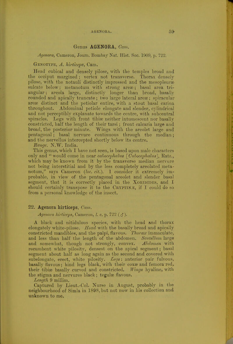 Grenus AGENORA, Cam. Agmwa, Cameron, Jouru. Bombay Nat. Hist. Soc. 1909, p. 722. Genotxpe, a. Mrticeps, Cam. Head cubical and densely pilose, Avith the temples broad and the occiput margined ; vertex not transverse. Thorax densely pilose, with the notauli distinctly impressed and the mesopleurae sulcate below ; metanotum with strong arece; basal area tri- angular ; areola large, distinctly longer than broad, basally rounded and apically truncate ; two large lateral arese; spiracular arese distinct and the petiolar entire, with a stout basal carina throughout. Abdominal petiole elongate and slender, cylindrical and not perceptibly explanate towards the centre, with subcentral spiracles. Legs with front tibiae neither intumescent nor basally constricted, half the length of tlieir tarsi; front calcaria large and broad, the posterior minute. Wings with the areolet large and pentagonal; basal nervure continuous through the median; and the nervellus intei'cepted shortly below its centre. Ranr/e. N.W. India. This genus, which I have not seen, is based upon male characters only and  would come in near cahoceplialus \_Cuhocephalus'], Eatz., which may be known from it by the transverse median nervure not being interstitial and by the less completely areolated meta- notum, says Cameron (Zoc. cit.). 1 consider it extremely im- probable, in view of the pentagonal areolet and slender basal segment, that it is correctly placed in the Xomdides, and I should certainly transpose it to the CuTPTiNiE, if I could do so from a personal knowledge of the insect, 22. Agenora hirticeps, Cam. Agenora hirticeps, Cameron, /. c. p. 722 ( J). A black and uitidulons species, with the head and thorax elongately white-pilose. Head with the basally broad and apically constricted mandibles, and the palpi, flavous. Thorax immaculate, and less than half the length of the abdomen. Smtellum large and somewhat, though not strongly, convex. Abdomen with recumbent white pilosity, densest on the apical segment; basal segment about half as long again as the second and covered with subelongate, erect, white pilosity. Legs: anterior pair fulvous, basally tlavous; hind legs black, with their coxs3 and femora red, their tibiae basally curved and constricted. Wings hyaline, with the stigma and nervures black; tegulae flavous. Length 9 millim. Captured by Lieut.-Col. Nurse in August, probably in the neighbourhood of Simla in 1898, but not now in his collection and unknown to me.