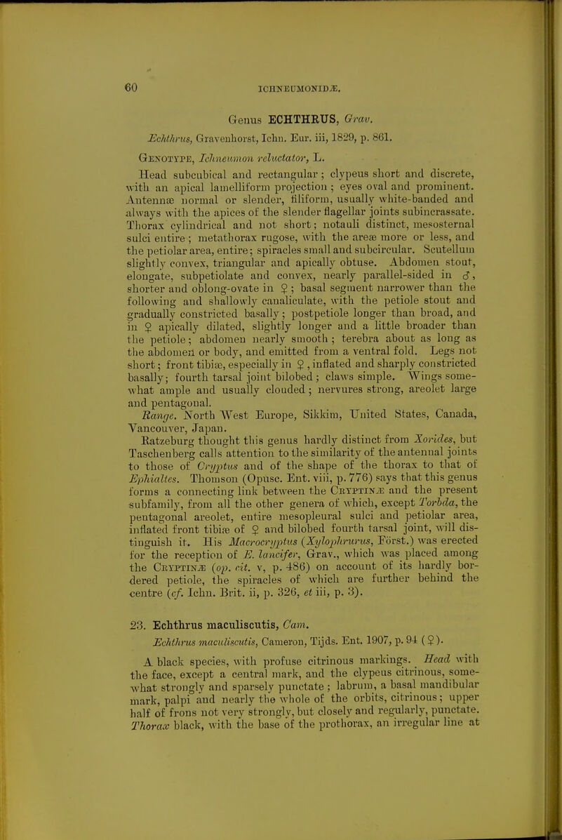 Genus ECHTHRUS, Orav. HcMhrtis, Graveuhoret, Ichn. Euv. iii, 1829, p. 861. Genoxype, Ichneumon reluciator, L. Head subcubieal and rectangular; clypeus short and discrete, with an apical lanielliform projection ; eyes oval and prominent. AntenniB normal or slender, filiform, usually white-banded and always with the apices of the slender flagellar joints subincrassate. Thorax cylindrical and not short; notauli distinct, mesosternal sulci entire ; metatliorax rugose, with the arese more or less, and the petiolar area, entire; spiracles small and subcircular. Scutellum slightly convex, triangular and apically obtuse. Abdomen stout, elongate, subpetiolate and convex, nearly parallel-sided in S ■, shorter and oblong-ovate in $ ; basal segment narrower than the following and sballowly canaliculate, with the petiole stout and gradually constricted basally; postpetiole longer than broad, and in 5 apically dilated, slightly longer and a little broader than the petiole; abdomen nearly smooth ; terebra about as long as the abdomen or body, and emitted from a ventral fold. Legs not short; front tibiae, especially in $ , inflated and sharply constricted basally; fourth tarsal joint bilobed ; claws simple. Wings some- what ample and usually clouded ; nervures strong, areolet large and pentagonal. Range. North West Europe, Sikkira, United States, Canada, Vancouver, Japan. Eatzeburg thought this genus hardly distinct from Xoricles, but Taschenberg calls attention to the similarity of theantenual joints to those of Cryptus and of the shape of the thorax to that of EpMaltes. Thomson (Opusc. Ent. vii'i, p. 776) says that this genus forms a connecting link between the CuyPTiN.TE and the present subfamily, from all the other genera of which, except Torbda, the pentagonal areolet, entire mesopleural sulci and petiolar area, inflated front tibife of $ and bilobed fourth tarsal joint, will dis- tinguish it. His Macrocryptus {Xyloplirurus, Eorst.) was erected for the reception of E. lancifer, Grav., which was_ placed among the CnypTiNiE (op. cit. v, p. 486) on account of its hardly bor- dered petiole, the spiracles of which are further behind the centre (c/. Ichn. Brit, ii, p. 326, et iii, p. 3). 23. Echthrus maculiscutis, Cam. Echthrus maculiscutis, Cameron, Tijds. Ent. 1907, p. 94 ($). A black species, with profuse citrinous markings. ^ Head with the face, except a central mark, and the clypeus citrinous, some- what stronglv and sparsely punctate ; labrum, a basal mandibular mark, palpi and nearly the whole of the orbits, citrinous; upper half of frons not very strongly, but closely and regularly, punctate. Thorax black, with the base of the prothorax, an irregular line at