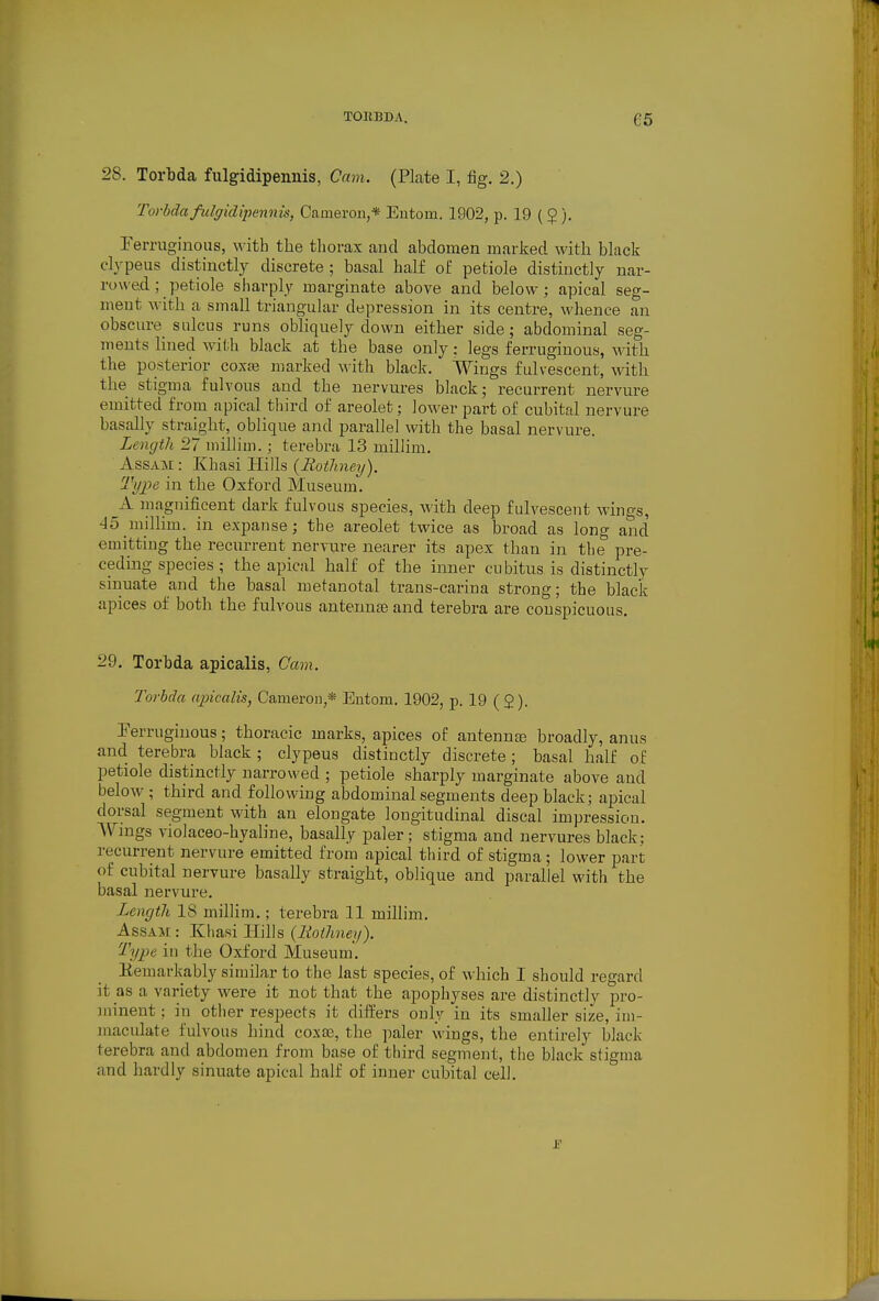 2S. Torbda fulgidipennis, Cam. (Plate I, fig. 2.) Torbdafulgtdipennis, Cameron,* Eutom. 1902, p. 19 ( 5 ). ferruginous, M ith the thorax and abdomen marked with black clypeus distinctly discrete ; basal half ot' petiole distinctly nar- rowed; petiole sharply marginate above and below; apical seg- ment with a small triangular depression in its centre, whence an obscure sulcus runs obliquely down either side; abdominal seg- ments lined wiiih black at the base only; legs ferruginous, with the posterior coxaj marked with black. Wings fulvescent, with the stigma fulvous and the nervures black; recurrent nervure emitted from apical third of areolet; lower part of cubital nervure basally straight, oblique and parallel with the basal nervure. Length 27 uiillim.; terebra 13 millim. Assam : Khasi Hi)ls {Rothney). Tijpe in the Oxford Museum. A maguificent dark fulvous species, with deep fulvescent wino-s, 45 millim. in expanse; the areolet twice as broad as long and emitting the recurrent nervure nearer its apex than in the pre- ceding species; the apical half of the inner cubitus is distinctly sinuate and the basal metanotal trans-carina strong; the black apices of both the fulvous antennae and terebra are conspicuous. 29. Torbda apicalis. Cam. Torbda rqncalis, Cameron,* Entom. 1902, p. 19 ($). Ferruginous; thoracic marks, apices of antennas broadly, anus and terebra black; clypeus distinctly discrete; basal half of petiole distinctly narrowed ; petiole sharply marginate above and below ; third and following abdominal segments deep black; apical dorsal segment with an elongate longitudinal discal impression. Wings violaceo-hyaline, basally paler; stigma and nervures black; recurrent nervure emitted from apical third of stigma; lower part of cubital nervure basally straight, oblique and parallel with the basal nervure. Length 18 millim.; terebra 11 millim. Assam : Khasi Hills {liothney). Type in the Oxford Museum'. Eemarkably similar to the last species, of which I should regard it as a variety were it not that the apophyses are distinctly pro- minent ; in other respects it differs only in its smaller size, im- maculate fulvous hind coxa3, the paler wings, the entirely black terebra and abdomen from base of third segment, the black stigma and hardly sinuate apical half of inner cubital cell.