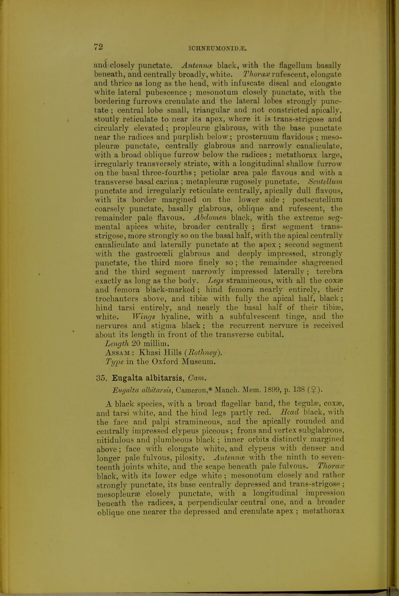 iiucl closely punctate. Antemice black, with the flagellum basally beneath, and centrally broadly, white. Thorax rufescent, elongate and thrice as long as the head, with infuscate discal and elongate white lateral pubescence ; mesonotum closely punctate, with the bordering furrows crenulate and the lateral lobes strongly punc- tate ; central lobe small, triangular and not constricted apically, stoutly reticulate to near its apex, where it is trans-strigose and circularly elevated; propleurae glabrous, Avith the base punctate near the radices and purplish below; prostemum flavidous ; meso- pleurse punctate, centrally glabrous and narrowly canaliculate, with a broad oblique furrow below the radices ; metathorax large, irregularly transversely striate, with a longitudinal shallow furrow on the basal three-fourths; petiolar area pale Havous and \vith a transverse basal carina ; metapleurae rugosely punctate. Scutellum punctate and irregularly reticulate centrally, apically dull flavous, with its border margined on the lower side ; postscutellum coarsely punctate, basally glabrous, oblique and rufescent, the remainder pale flavous. Abdomen black, with the exti-eme seg- mental apices white, broader centrally ; first segment trans- strigose, more strongly so on the basal half, with the apical centrally canaliculate and laterally punctate at the apex ; second segment A\dtli the gastrocceli glabrous and deeply impressed, strongly punctate, the third more finely so ; the remainder shagreened and the third segment narrowly impressed laterally; terebra exactly as long as the body. Legs stramineous, with all the coxae and femora black-marked; hind femora! nearly entirely, their trochanters above, and tibias with fully the apical half, black; hind tarsi entirely, and nearly the basal half of their tibite, white. Wings hyaline, with a subfulvescent tinge, and the nervures and stigma black; the recurrent nervure is received about its length in front of the transverse cubital. Length 20 millim. Assam : Khasi Hills {Rothnetj). Type in the Oxford Museum. 35. Eugalta albitarsis. Cam. Eugalta albitarsis, Cameron,* Manch. Mem. 1899, p. 138 ($). A black species, with a broad flagellar band, the tegular, coxas, and tarsi white, and the hind legs partly red. Head black, \\\Vn. the face and palpi stramineous, and the apically rounded and centrally impressed clypeus piceous ; frons and vertex subglabrous, nitidulous and plumbeous black ; inner orbits distinctly margined above; face with elongate white, and clypeus with denser and longer pale fulvous, pilosity. Antenncs Avith the ninth to seven- teenth joints white, and the scape beneath pale fulvous. Thorax black, with its lower edge white; mesonotum closely and rather strongly punctate, its base centrally depressed and trans-strigose ; mesopleurce closely punctate, with a longitudinal impression beneath the radices, a perpendicular central one, and a broader oblique one nearer the depressed and crenulate apex ; metathorax