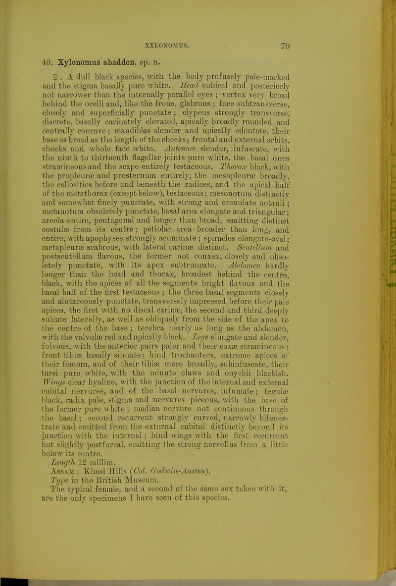 40. Xylonomtis abaddon, sp. n. 5 . A dull black species, with the body profusely pale-mat-ked and the stigma basally pure v/hite. Head cubical and posteriorly not narrower than the internally pai-allel eyes ; vertex very broad behind the ocelli and, like the frons, glabrous ; face subtrausverse, closely and superficially punctate ; clypeus strongly transverse, discrete, basally carinately elevated, apically broadly rouuded and centrally concave; mandibles slender and apically edentate, their base as broad as the length of the cheeks; frontal and external orbits, cheeks and whole face white. Antennce slender, infuscate, with the ninth to thirteenth flagellar joints pure white, the basal ones stramineous and the scape entirely testaceous. Thorax black, with the proplearte and prosternum entirely, the mesopleuras broadly, the callosities before and Ijeneath the radices, and the apical half of the metathorax (except below), testaceous; mesonotum distinctly and somewhat finely punctate, with strong and crenulate notauli; metanotura obsoletely punctate, basal area elongate and triangular; areola entire, pentagonal and longer than broad, emitting distinct costiihe from its centre; petiolar area broader than long, and entire, with apophyses strongly acuminate ; spiracles elongate-oval; metapleurce scabrous, with lateral carinse distinct. Scutellum and postscutellum flavous, the former not conxex, closely and obso- letely punctate, with its apex subtruncate. Abdomen hardly longer than the head and thorax, broadest behind the centre, black, with the apices of all the segments bright flavous and the basal half of the first testaceous ; the three basal segments closely and alutaceously punctate, transversely impressed before their pale apices, the first with no discal carinas, the second and third deeply sulcate laterally, as well as obliquely from the side of the apex to the centre of the base ; terebra nearly as long as the abdomen, with the valvulse red and apically black. Lec/s elongate and slender, fulvous, with the anterior pairs paler and their coxae stramineous; front tibiae basally sinuate: hind trochanters, extreme apices of then- femora, and of their tibiae more broadly, subinfuscate, their tarsi pure white, with the minute claws and ouychii blackish. Wings clear hyaline, with the junction of the internal and external cubital nervures, and of the basal uervures, infumate; tegulas Ijlack, radix pale, stigma and nervures piceous, with the base of the former pure white ; median nervure not continuous through the basal; second recurrent strongly curved, narrowly bifeiies- trate and emitted from the external cubital distinctly beyond its junction with the internal; hind wings with the first recurrent; but sliglitly postfurcal, emitting the strong nervellus from a little below its centre. Length 12 millim. Assam : Khasi Hills (Col. Godxuin-Austen). Type in the British Museum. The typical female, and a second of the same sex taken with it, are the only specimens I have seen of this species.