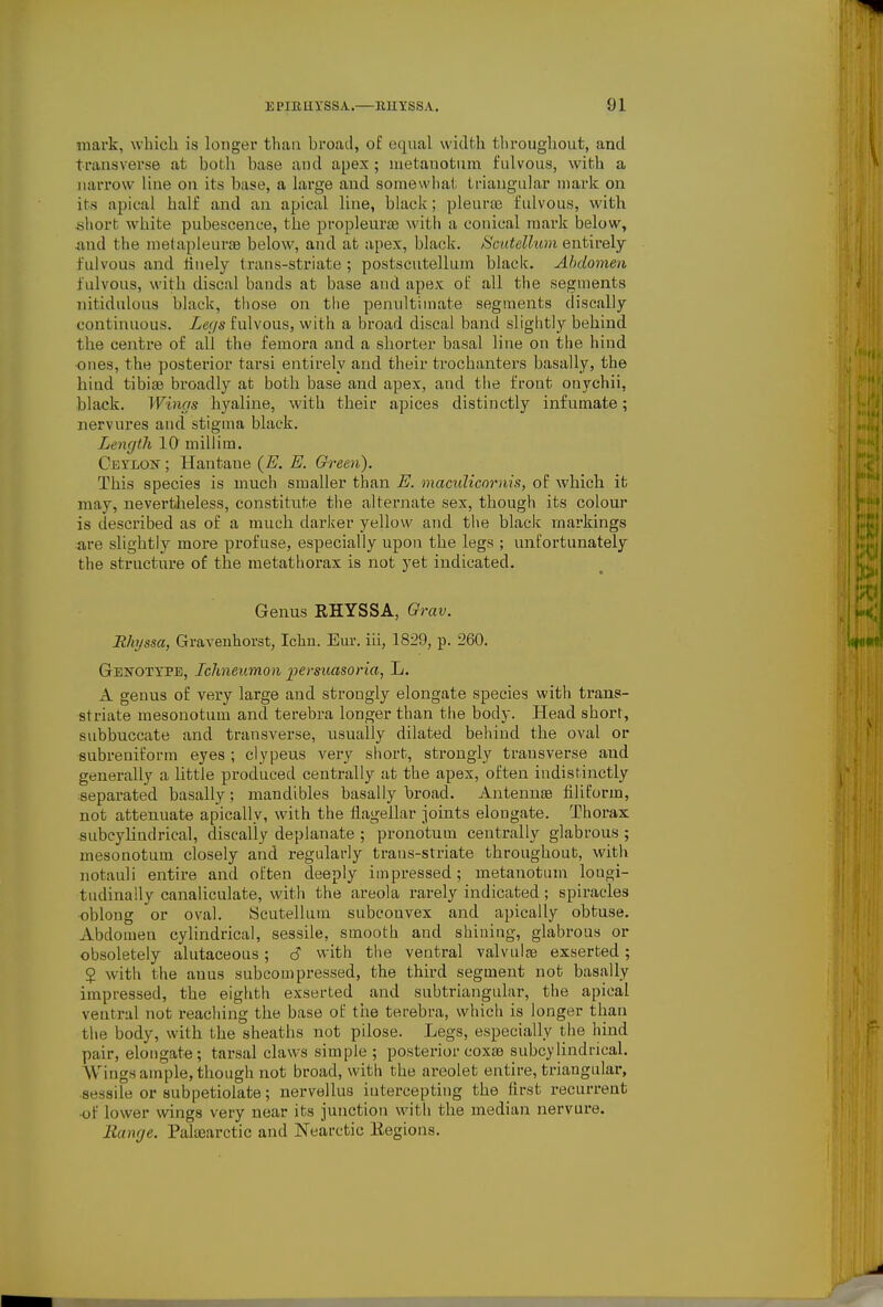 luavk, which is longer than broatl, o£ equal width throughout, and transverse at both base and apes; metauotum fulvous, with a jiarrovv line on its base, a large and somewhat, triangular mark on its apical half and an apical line, black; pleura3 fulvous, with short white pubescence, the propleurae with a conical mark below, iind the melapleurte below, and at apex, black. iScutellum entirely fulvous and tinely trans-striate ; postscutellum black. Abdomen fulvous, with discal bands at base and apex of all the segments nitidulous black, those on the penultimate segments discally continuous. Legs fulvous, with a broad discal band slightly behind the centre of all the femora and a shorter basal line on the hind ones, the posterior tarsi entirely and their trochanters basally, the hind tibiae broadly at both base and apex, and tiie front onychii, black. Winos hyaline, with their apices distinctly infumate; nervures and stigma black. Length 10 millim. CEriiOK; Hantaue {E. E. Green). This species is much smaller than E. macuKcnrms, of which it may, nevertheless, constitute tiie alternate sex, though its colour is described as of a much darlier yellow and the black markings are slightly more profuse, especially upon the legs ; unfortunately the structure of the metathorax is not yet indicated. Genus EHYSSA, Grav. Rhyssa, Gravenhorst, Ichn. Eur. iii, 1829, p. 260. Genotype, Ichneumon pevsuasoria, L. A genus of very large and strongly elongate species with trans- striate mesonotum and terebra longer than the body. Head short, subbuccate and transverse, usually dilated behind the oval or subreuiform eyes ; clypeus very short, strongly transverse and generally a little produced centrally at the apex, often indistinctly- separated basally; mandibles basally broad. Antennae filiform, not attenuate apically, with the flagellar joints elongate. Thorax subcylindrical, discally deplanate ; pronotum centrally glabrous ; mesonotum closely and regularly trans-striate throughout, with notauli entire and often deeply impressed; metauotum longi- tudinally canaliculate, with the areola rarely indicated; spiracles oblong or oval. ycutelhun subconvex and apically obtuse. Abdomen cylindrical, sessile, smooth and shining, glabrous or obsoletely alutaceous; 6 with the ventral valvulae exserted; § with the anus subcompressed, the third segment not basally impressed, the eighth exserted and subtrianguLir, the apical ventral not reaching the base of the terebra, which is longer than the body, with the sheaths not pilose. Legs, especially the hind pair, elongate; tarsal claws simple; posterior coxae subcylindrical. Wingsample, though not broad, with the areolet entire, triangular, sessile or subpetiolate; nervellus intercepting the first recurrent •of lower wings very near its junction witii the median nervure. Range. Palsearctic and Nearctic liegions.