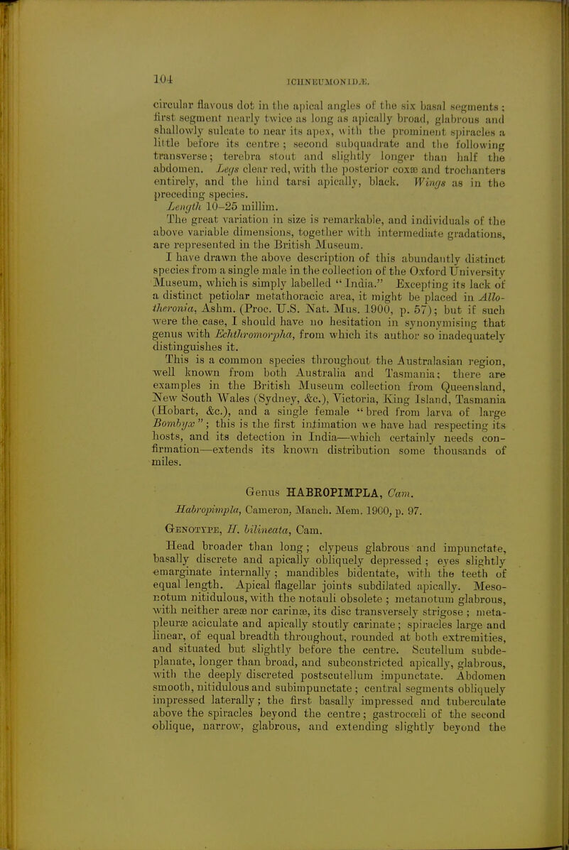 ICUNBUMONIJ).!;. cil'culnr flavous dot in the apical angles ol: the six hasnl segments ; lii'st segment nearlj' twice as long as apically broad, glabrous and shallowly sulcate to near its apex, witli tlie prominent sjjiracles a little before its centre ; second subquadrate and tlie following transverse; terebra stout and slightly longer tlian half the abdomen. Leys clear red, with the posterior coxas and trochanters entirely, and the hind tarsi apically, black. Wings as in the preceding species. Length 10-25 millim. The great variation in size is remarkable, and individuals of the above variable dimensions, togetlier with intermediate gradations, are represented in the British Museum. I have drawn the above description of this abundantly distinct species from a single male in the collection of the Oxford University Museum, which is simply labelled  India. Excepting its lack of a distinct petiolar metathoracic area, it might be placed in Allo- theronia, Ashm. (Proc. U.S. Nat. Mus. 1900, p. 67); but if such ■were the case, I should have no hesitation in synonymising that genus with Eclitliromorpha, from which its author so inadequately distinguishes it. This is a common species throughout the jAustralasian region, well known from both Australia and Tasmania; there are examples in the British Museum collection from Queensland, New South Wales (Sydney, &c.), Victoria, King Island, Tasmania (Hobart, &c.), and a single female bred from larva of large Bomhyx  ; this is the first intimation we have had respecting its hosts, and its detection in India—which certainly needs con- firmation—extends its known distribution some thousands of miles. Genus HABROPIMPLA, 0am. Habropimpla, Cameron, Manch. Mem. 1900, p. 97. Gbnotxpe, R. hilineata, Cam. Head broader than long ; clypeus glabrous and impunctate, basally discrete and apically obliquely depressed ; eyes sHghtly emarginate internally; mandibles bidentate, with the teeth of equal length. Apical flagellar joints subdilated apically. Meso- Eotum nitidulous, with the notauli obsolete ; raetanotum glabrous, with neither areas nor carinte, its disc transversely strigose ; iiieta- pleurae aciculate and apically stoutly carinate; spiracles large and linear, of equal breadth throughout, rounded at both extremities, and situated but slightly before the centre. Scutellum subde- planate, longer than broad, and subconstricted apically, glabrous, with the deeply discreted postscutellum impunctate. Abdomen smooth, nitidulous and subimpunctate ; central segments obliquely impressed laterally; the first basally impressed and tuberculate above the spiracles beyond the centre; gastrocoeli of the second oblique, narrow, glabrous, and extending slightly beyond the