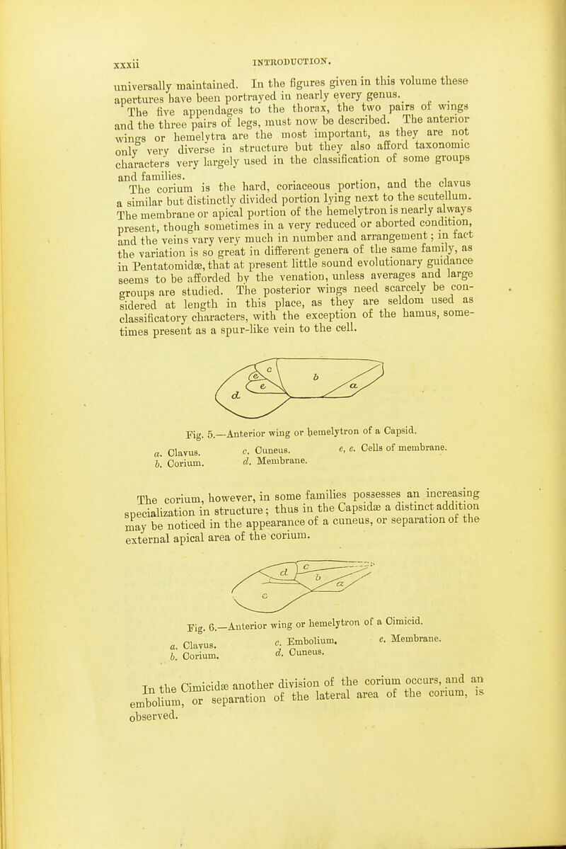 universally maintained. In the figures given in this volume these apertures have been portrayed in nearly every genus._ _ The five appendages to the thorax, the two pairs oi wings and the three pairs of legs, must now be described. The anterior wines or hemelvtra are the most important, as they are not onlv very diverse in structure but they also afford taxonomic characters very largely used in the classification of some groups and families. j .i. i The corium is the hard, coriaceous portion, and the c avus a similar but distinctly divided portion lying next to the scutellum. The membrane or apic.il portion of the hemelytronis nearly always present, though sometimes in a very reduced or aborted condition, and the veins vary very much in number and arrangement; in fact the variation is so great in different genera of the same family, as in Pentatomid£e,that at present little sound evolutionary guidance seems to be afforded bv the venation, unless averages and large groups are studied. The posterior wings need scarcely be con- sidered at length in this place, as they are seldom used as classificatory characters, with the exception of the hamus, some- times present as a spur-like vein to the cell. Fig. 5.—Anterior wing or hemelytron of a Capsid. a. OlavuB. c. Ouneua. e, e. CeUs of membrane. b. Oorium. d. Membrane. The corium, however, in some families possesses an increasing soecialization in structure; thus in the Capsidse a distinct addition may be noticed in the appearance of a cuneus, or separation of the external apical area of the corium. Fig. 6.-Auterior wing or hemelytron of a Oimicid. a Clavus. c. Embolium. c Membrane. b. Oorium. ^- Ouneus. Tn the Cimicidee another division of the corium occurs, and an emboliSn, S separation of the lateral area of the corium, is observed.