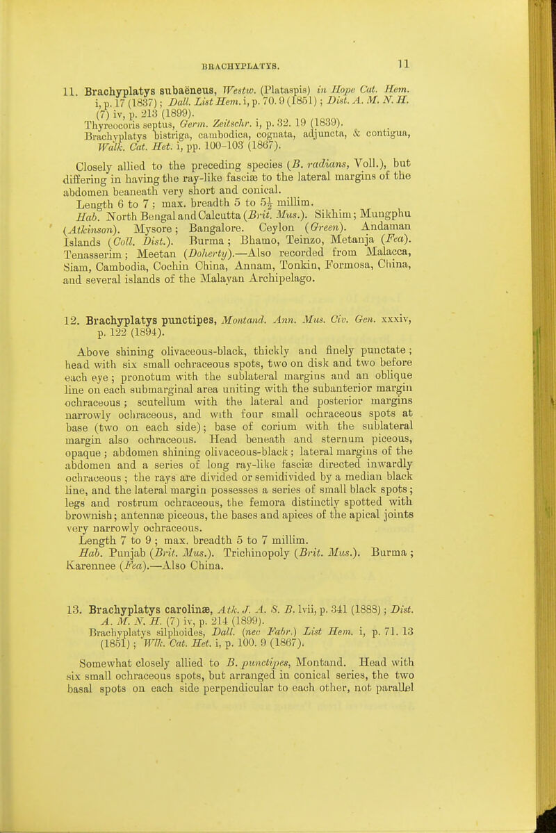 11 Brachyplatys subaeneus, Westw. (Plntaspis) in Hope Cat. Hem. i, p. 17 (1837); Dall List Hem. i, p. 70. 9 (1851); DUt. A. M. N. H. (7) iv, p. 213 (1899). Thyreocoris septus, Germ. Zeitschr. i, p. 32. 19 (1839). Brachyplatys bistriga, caiubodica, cognata, acljuncta, & contigua, Waik. Cat. Het. i, pp. 100-103 (1867). Closely allied to the preceding species {B. radians, Voll.), but differing in having tlie ray-like fascise to the lateral margins of the abdomen beaneath very short and conical. Length 6 to 7 : max. breadth 5 to 5i miUim. Hab. North Bengal and Calcutta Mms.). Sikhim; Mungphu {Atkinson). Mysore; Bangalore. Ceylon (Green). Andaman Islands {Coll. Dist.). Burma ; Bhamo, Teinzo, Metanja {Fea). Tenasserim; Meetan (DoJierty).—Also recorded from Malacca, Siam, Cambodia, Cochin China, Annam, Tonkin, Formosa, China, and several islands of the Malayan Archipelago. 12. Brachyplatys punctipes, Montand. Ann. Mus. Civ. Gen. xxxiv, p. 122 (1894). Above shining oUvaceous-black, thickly and finely punctate ; head with six small ochraceous spots, two on disk and two before each eye; pronotum with the sublateral margins and an oblique line on each aubmarginal area uniting with the subanterior margin ochraceous; scutellum with the lateral and posterior margins narrowly ochraceous, and with four small ochraceous spots at base (two on each side); base of corium with the sublateral margin also ochraceous. Head beneath and sternum piceous, opaque ; abdomen shining olivaceous-black ; lateral margins of the abdomen and a series of long ray-like fasciae directed inwardly ochraceous ; the rays are divided or semidivided by a median black line, and the lateral margin possesses a series of small black spots; legs and rostrum ochraceous, the femora distinctly spotted with brownish; antennae piceous, the bases and apices of the apical joints very narrowly ochraceous. Length 7 to 9 ; max. breadth 5 to 7 millim. Hab. Punjab {Brit. Mus.). Trlchinopoly {Brit. Mus.). Burma ; Karennee {Fea).—Also China. 13. Brachyplatys carolinae, Atk. J. A. S. E. Ivii, p. 341 (1888); Bist. A. M. N. H. (7) iv, p. 211 (1899). Brachyplatys silphoides, Dall. (nee Fabr.) List Hem, i, p. 71. 13 (1851) ; Wlk. Cat. Het. i, p. 100. 9 (1867). Somewhat closely allied to B. punctipes, Montand. Head with .six small ochraceous spots, but arranged iu conical series, the two basal spots on each side perpendicular to each other, not paralkl