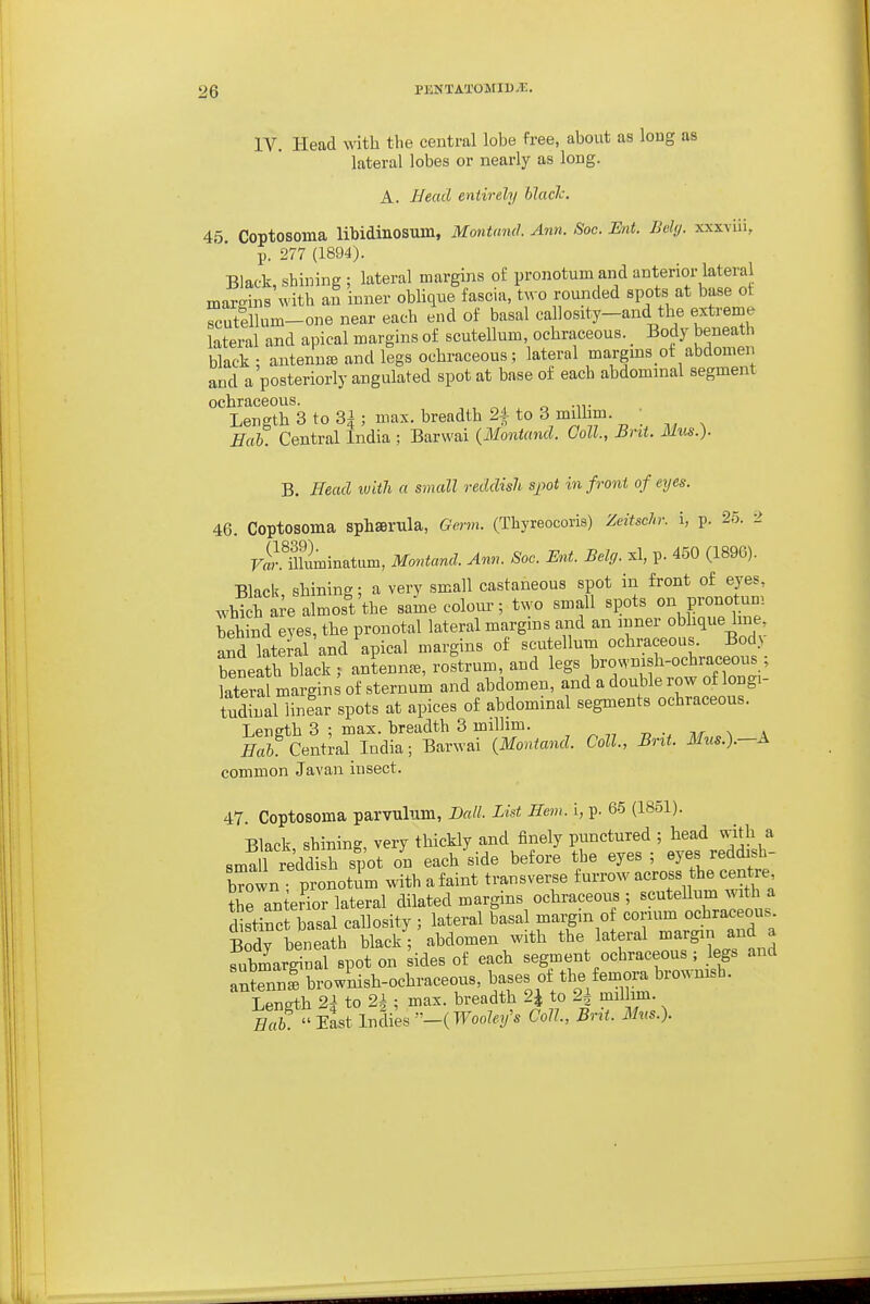 IV. Head with the central lobe free, about as loug as lateral lobes or nearly as long. A. Head entirely black. 45 Coptosoma libidinosum, Montand. Ann. Soc. Ent. Bdy. xxxviii, p. 277 (1894). Black, shining ; lateral margins oE pronotum and anterior lateral margins with an inner obliqne fascia, t^ o rounded spots at base ot rutellum-one near each end of basal callosity-and tl^ extreme lateral and apical margins of scutellum, ochraceous. Body beneath black: antennjB and legs ochraceous.; lateral margins of abdomen and a posteriorly angulated spot at base of each abdominal segment ochraceous. , , , o -n- Length 3 to 3i ; max. breadth 24 to 3 nnllim. ; Hah. Central India ; Barwai {Montand. Coll., Brit. Mus.). B. Head luith a small reddish spot in front of eyes. 46. Coptosoma sphserula, Gm-m. (Thyreocoris) Zeitschr. i, p. 25. 2 FiSminatum, Montand. Ann. Soc. Ent. Belg. xl, p. 450 (1896). Black shining; a very small castaneous spot in front of eyes, whT hte almos't'the saL colour; two small spots on pronotnm behind eyes, the pronotal lateral margins and an inner obhque line and lateral and apical margins of scutellum ochraceous. Bod) beneath black ; antennae, rostrum, and legs browmsh-ochraceous ; latera margin of sternum and abdomen, and a double row of longi- tudinal linfar spots at apices of abdominal segments ochraceous. Leneth 3 ; max. breadth 3 milhm. , • x k ia& Centkl India; Barwai {Montand. Coll., Br^t. Mus.).-A common Javan insect. 47. Coptosoma parvulum, Ball. List Hem. i, p. 65 (1851). Black shining, very thickly and finely punctured ; head wilh a small reddi h spot on each side before the eyes ; eyes reddish- brown pi^notim with a faint transverse furrow across the centre the anterior lateral dilated margins ochraceous; scuteUum M'lth a distinct basal callosity ; lateral basal margin of corium ochraceous Sdv beneath black ; abdomen with the lateral margin and a Sarjuafspot on kdes of each segment ochraceous ; legs and an enn^brow^nish-ochraceous, bases of the femora brownish. Length 2i to 2* ; max. breadth 2J to 2^ milhm. firT East Indies '-(TFooZ.y'. Coll., Brit. Mus.).