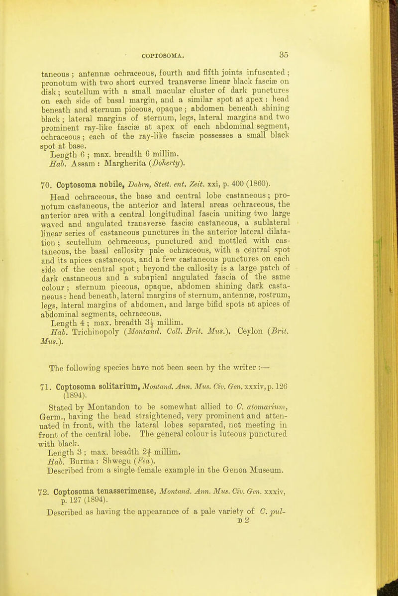 taneous ; antennee ochraceous, fourth aud fifth joints infuscated ; pronotum with two short curved transverse linear black fasciae on disk; scutellum with a small macular cluster of dark punctures on each side of basal margin, and a similar spot at apex : head beneath and sternum piceous, opaque ; abdomen beneath shining black; lateral margins of sternum, legs, lateral mai-gins and two prominent ray-like fasciae at apex of each abdominal segment, ochraceous; each of the ray-like fasciae possesses a small blaclc spot at base. Length 6 ; max. breadth 6 millim. Hah. Assam : Margherita (Doherty). 70. Coptosoma nobile, Dohm, Stett. ent. Zeit. xxi, p. 400 (1860). Head ochraceous, the base and central lobe castaneous; pro- notum castaneous, the anterior and lateral areas ochraceous, the anterior area with a central longitudinal fascia uniting two large waved and angulated transverse fasciae castaneous, a sublateral linear series of castaneous punctures in the anterior lateral dilata- tion ; scutellum ochraceous, punctured and mottled with cas- taneous, the basal callosity pale ochraceous, with a central spot and its apices castaneous, and a few castaneous punctures on each side of the central spot; beyond the callosity is a large patch of dark castaneous and a subapical angulated fascia of the same colour; sternum piceous, opaque, abdomen shining dark casta- neous : head beneath, lateral margins of sternum, antennse, rostrum, legs, lateral margins of abdomen, and large bifid spots at apices of abdominal segments, ochraceous. Length 4 ; max. breadth 3^ millim. Hob. Trichinopoly {Montand. Coll, Brit. Mus.). Ceylon {Brit. Mus.). The following species have not been seen by the writer:— 71. Coptosoma solitarium, Montand. Ann. Mus. Oiv. Gen. xxxiv, p. 126 (1894). Stated by Montandon to be somewhat allied to C. atomarium, Germ., having the head straightened, very prominent and atten- uated in front, with the lateral lobes separated, not meeting in front of the central lobe. The general colour is luteous punctured with black. Length 3 ; max. breadth 2^ millim. Hah. Burma: Shwegu (Z'^m). Described from a single female example in the G-enoa Museum. 72. Coptosoma tenasserimense, Montand. Ann. Mm. Civ. Oen. xxxiv, p. 127 (1894). Described as having the appearance of a pale variety of 0. pul-