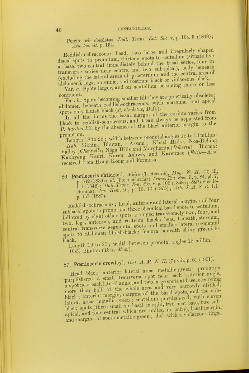 PtBcilocoris obsolotus, Ball. Trans. Ent. &c. v, p. 104. 5 (1848); Atk. loc. cit. p. 154. Eeddish-ochraceous; head, two I'^rge^^^X.fmtlt^^^^^^^ discal spots to pronotum, thirteen spots ^ ^^^^^^^J^f ^^^^^ at base^two central i'^-^^-^^l-^ .^t/^^S, body'beneath transverse series near centre area of Wn^t to reddish-ochniceous,»nditoanali™,8 be sepumted from p falSTh, the .b»e«ce ot the black anterior margm to the f To7bl8 to 22; width between P™ot.l .nges 12 t^lSgilto^ received from Hong Kong and Formosa. «fi Poecilocoris cMldreni, White (Tectocoris) M«|r. f • f) i. p. 157 (1887). Beddish-oohr.ceo„»; head ante™^^^^^^ subbasal spots to pronotnm, three ,„,„ {„„,, and Length 19 to 20 ; width between pronotal angles 12 miUim. Hub. Bhutan {Brit. Mus.). 87 Poecilocoris crowleyi, Sist. A. M. N. H. (7) .hi, P- 61 (1901). Head black, anterior lateral areas ^Jfllg^^;^^^^::^^., purplish-red, a J^^^, ^^ a spot near each lat raUng^^^^^^^^ and v?ry narrowly dn ided, more than halt oi tne wuu c ^ black spots (three small ^^^^^^^^^^^^ i^s), basal margin,