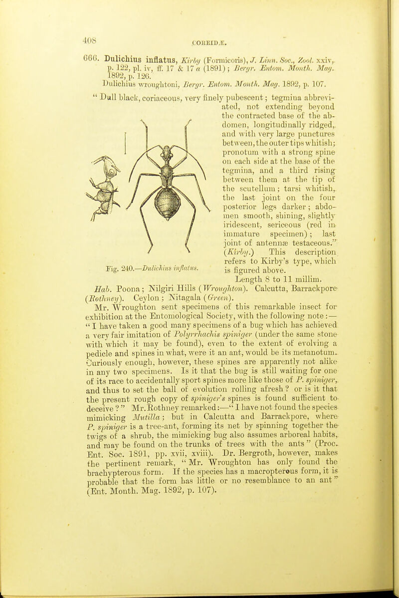 COKBID-'E. Fig. 240.—Dnlichius wflcdus. 660. Dulichius inflatus, Kirlnj (Formicoris), J. Linn. Soc, Zoul. xxiv, p. 122, pi. iv, ft. 17 & 17 a (1891) ; Berfjr. Entom. Month. May. 1892, p. 126. Dulichius wrouglitoni, Bergr. Entom. Month. Mar/. 1892, p. 107.  Dull black, coriaceous, very finely pubescent; tegmina abbrevi- ated, not extending beyond the contracted base of the ab- domen, longitudinally ridged,, and with very large punctures between, the outer tips whitish; pronotum with a strong spine on each side at the base of the tegmina, and a third rising between them at the tip of the scutellum; tarsi whitish,, the last joint on the four posterior legs darker; abdo- men smooth, shining, slightly iridescent, sericeous (red in immature specimen); last joint of antennae testaceous. (Kb-hij.) This descriyjtion refers to Kirby's type, which is figured above. Length 8 to 11 millim. Hah. Poena; Nilgiri Hills (TFmt^Zt^on). Calcutta, Barrackpore {Eotlmey). Ceylon; JSltagala (GVcai). Mr. Wroughton sent specimens of this remarkable insect for exhibition at the Entomological Society, with the following note: —  I have taken a good many specimens of a bug which has achieved a very fair imitation of Polyrrhachis spiniger (under the same stone with which it may be found), even to the extent of evolving a pedicle and spines in what, were it an ant, would be its metanotum. Ouriously enough, however, these spines are apparently not alike in any two specimens. Is it that the bitg is still waiting for one of its race to accidentally sport spines more like those of P. spiniger, and thus to set the ball of evolution rolling afresh ? or is it that the present rough copy of spiniger s spines is found sufficient to- deceive ?  Mr.Eothney remarked:-— I have not found the species mimicking MutiJla; but in Calcutta and Barraclipore, where P. spiniger is a tree-ant, forming its net by spinning together the- twigs of a shrub, the mimicking bug also assumes arboreal habits, and may be found on the trunks of ti-ees with the ants  (Proc. Ent. Soc. 1891, pp. xvii, xviii). Dr. Bergroth, however, makes the pertinent remark,  Mr. Wroughton has only found the bracbypterous form. If the species has a macropterous form, it is probable that the form has little or no resemblance to an ant fEnt. Month. Mag. 1892, p. 107).