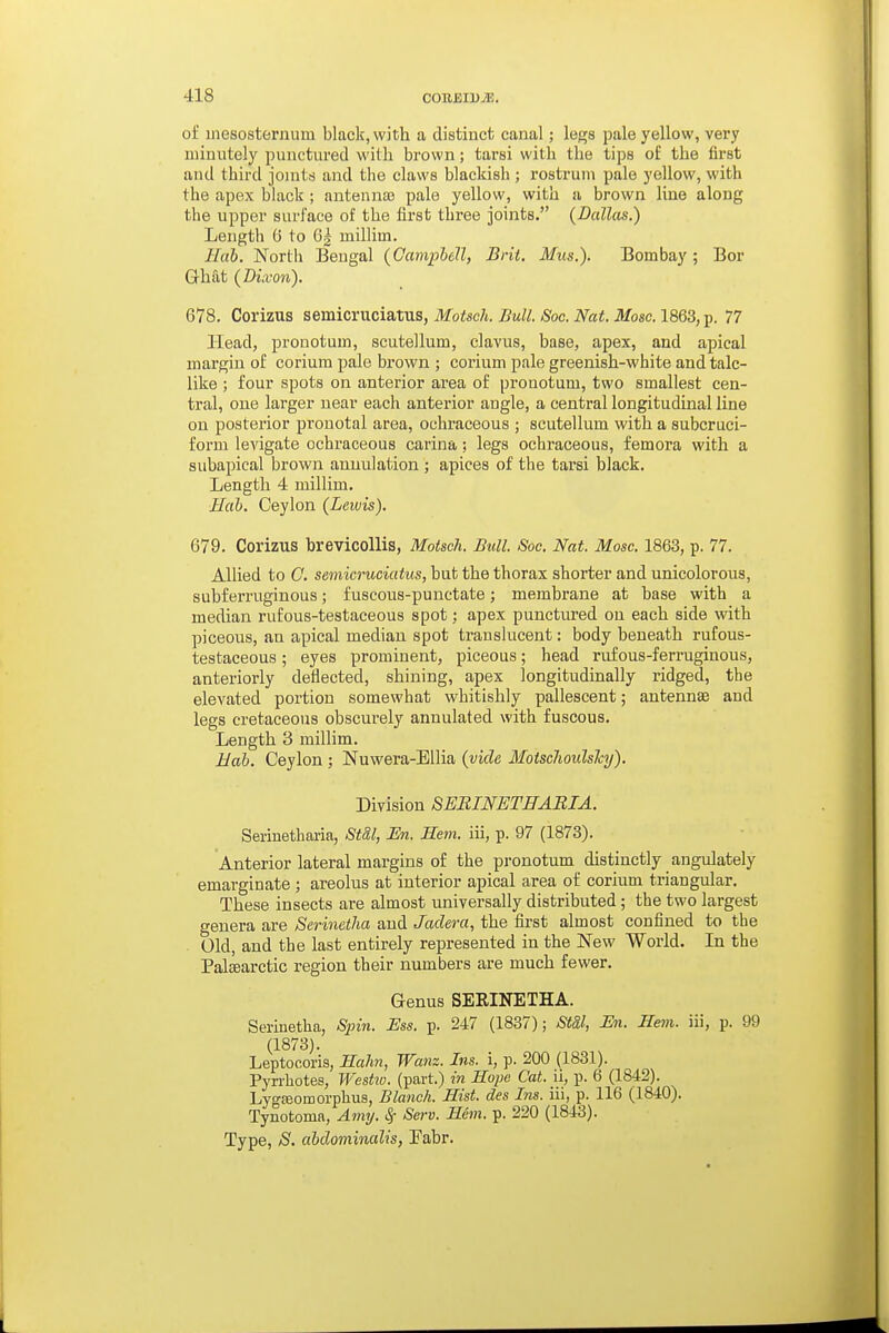 of inesosterniim black, with a distinct canal; legs pale yellow, very minutely punctured with brown; tarsi with the tips of the first and third jonits and the claws blackish ; rostrum pale yellow, with the apex black ; antennas pale yellow, with a brown line along the upper surface of the first three joints. (Dallas.) Length G to Gg millim. Hab. North Bengal {Campbell, Brit. Mus.). Bombay; Bor Ghat {Dixon). 678. Corizus semicruciatus, MoUch. Bull. Soc. Nat. Mosc. 1863, p. 77 Head, pronotum, scutellum, elavus, base, apex, and apical margin of corium pale brown ; corium pale greenish-white and talc- like ; four spots on anterior area of pronotum, two smallest cen- tral, one larger near each anterior angle, a central longitudinal line on posterior pronotal area, ochraceous ; scutellum with a subcruci- form levigate ochraceous carina; legs ochraceous, femora with a subapical brown anuulation ; apices of the tarsi black. Length 4 millim. Hah. Ceylon {Lewis). 679. Corizus brevicollis, Motsch. Bull. Soc. Nat. Mosc. 1863, p. 77. Allied to C. semicruciatus, but the thorax shorter and unicolorous, subferruginous; fuscous-punctate; membrane at base with a median rufous-testaceous spot: apex punctiu'ed on each side with piceous, an apical median spot translucent: body beneath rufous- testaceous ; eyes prominent, piceous; head rufous-ferniginous, anteriorly deflected, shining, apex longitudinally ridged, the elevated portion somewhat whitishly pallescent; antennae and legs cretaceous obscm-ely annulated with fuscous. Length 3 millim. Bab. Ceylon ; Nuwera-Ellia {vide Motsclwulshy). Division SEBINETHABIA. Serinetharia, Std,l, En. Sem. iii, p. 97 (1873). Anterior lateral margins of the pronotum distinctly angulately emarginate; areolus at interior apical area of corium triangular. These insects are almost universally distributed ; the two largest genera are Serinetha and Jadera, the first almost confined to the Old, and the last entirely represented in the New World. In the Palffiarctic region their numbers are much fewer. Genus SERINETHA. Serinetha, -S^jw. JEss. p. 247 (1837); StSl, En. Hem. iii, p. 99 (1873). Leptocoris, Sahn, Wanz. Ins. i, p. 200 (1831). Pyrrhotes, West2o. (part.) in Hope Cat. li, p. 6 (1842). Lygfeomorphus, Blanch. Hist, des Ins. iii, p. 116 (1840). Tynotoma, Amtj. ^ Serv. Hem. p. 220 (1843). Type, S. abdominalis, Eabr.