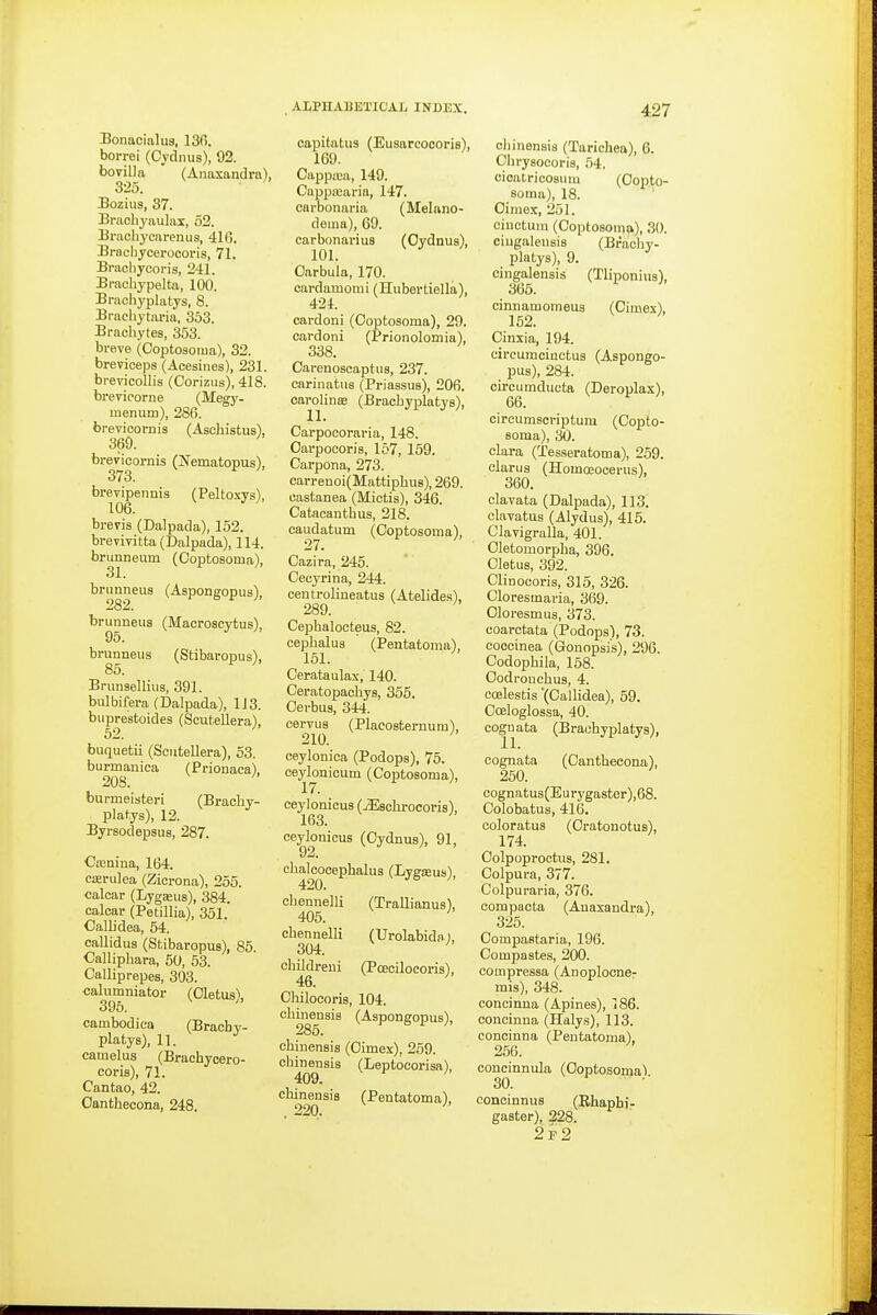 Bonacialus, ISfi. borrei (Cydnus), 92. bovilla ' (Aimxandra), 325. Bozius, 37. Bracliyaulax, 52. Bracbyearenus, 41G. Brachycerocoris, 71. Brachycoria, 241. Bi-achypelta, 100. Braohyplatys, 8. Brachytaria, 353. Bracbytes, 353. breve (Coptosoma), 32. breviceps (Acesines), 231. brevicoHis (Coriziis), 418. brevioorne (Megy- menum), 286. breTicornis (Aschistus), 369. brevicornis (Nematopus), 3/3. brevipennis (Peltoxys), 106. brevis (Dalpada), 152. breviTitta(Dalpada), 114. brunneum (Ooptosoma), brunneus (Asponeopus), 282. -t- 6 ±- brunneus (Maoroseytus), 95. brunneus (Stibaropus), 85. Brunsellius, 391. bulbifera (Dalpada), 1J3. buprestoides (ScuteUera), 52. buquetii (ScuteUera), 53. burmaniea (Prionaca). 208. burmeisteri (Bracby- plat.ys), 12. Byrsodepsus, 287. Cajnina, 164. cifirulea (Zierona), 255. calcar (Lygaeus), 384. calcar (Petillia), 351. Callidea, 54. callidus (Stibaropus), 85. Calliphara, 50, 53. Calliprepes, 303. calumniator (Oletus), 395. cambodioa (Bracby- platys), 11. camelus (Brachycero- coris), 71. Cantao, 42. Oanthecona, 248. capitatus (Eusarcoooris), 169. Capprea, 149. Cappicaria, 147. caroonaria (Melano- dema), 69. earbonarius fOvdnus). 101. ^ Oarbula, 170. eardamomi (Hubertiella), 424. cardoni (Coptosoma), 29. cardoni (Prionolomia), 338. Carenoscaptus, 237. carinatus (Priassus), 206. oarolinse (Braohyplatys), Carpocoraria, 148. Oarpocoris, 167, 159. Carpona, 273. carrenoi(MattiphuB), 269. oastanea (Mictis), 346. Catacanthus, 218. caudatum (Coptosoma), 27. Cazira, 245. Cecyrina, 244. centrolineatus (Atelides), 289. Cephalocteus, 82. cephalus (Pentatoma), 151. Cerataulax, 140. Ceratopachys, 355. Oerbus, 344. cervus (Placosternum), 210. ceylonica (Podops), 75. ceylonicum (Coptosoma), ceylonicus (iEschi-ocoris), 163. ceylonicus (Cydnus), 91, 92.  ' chalcocephalus (Lygteus), chennelli (Trallianus), 405. chennelli (Urolabida), 304. ^ chHdreiii (Poeciloooris), Chilocoris, 104. ohinensis (Aspongopus), chinensis (Cimex), 259. cbinensis (Leptooorisa), 409. ^ chinensis (Pentatoma), 220. chinensis (Tarichea), 6. Chrysoooris, 54. cioatricosum (Copto- soma), 18. Oimex, 251. ciuetuin (Coptosoma), 30. ciugalensis (Braohy- platys), 9. cingalensis (Tliponius), 365. cinnamomeus (Cimex), 152. Cinxia, 194. circumoiiictus (Aspongo- _ pus), 284. circumducta (Deroplax), 66. circumscriptum (Copto- soma), 30. clara (Tesseratoma), 259. clarus (Homa20cerus), 360. clavata (Dalpada), 113. clavatus (Alydus), 416. Clavigralla, 401. Oletomorpha, 396. Cletus, 392. Clinocoris, 315, 326. Cloresmaria, 369. Cloresmus, 378. ooaretata (Podops), 73. coccinea (Gonopsi's), 296. Codophila, 158. Oodronchus, 4. coelestis (Callidea), 59. Coeloglossa, 40. cognata (Braohyplatys), cognata (Oanthecona), 250. cognatus(Eurygaster),68. Colobatus, 416. coloratus (Cratonotus), 174. Oolpoproctus, 281. Colpura, 377. Colpuraria, 376. compacta (Anasandra), 325. Compastaria, 196. Compastes, 200. compressa (Anoploone- mis), 348. concinna (Apines), 186. conoinna (Halys), 113. concinna (Pentatoma), 256. concinnula (Coptosoma) 30. concinnus (Rhapbi- gaster), 228. 2f2