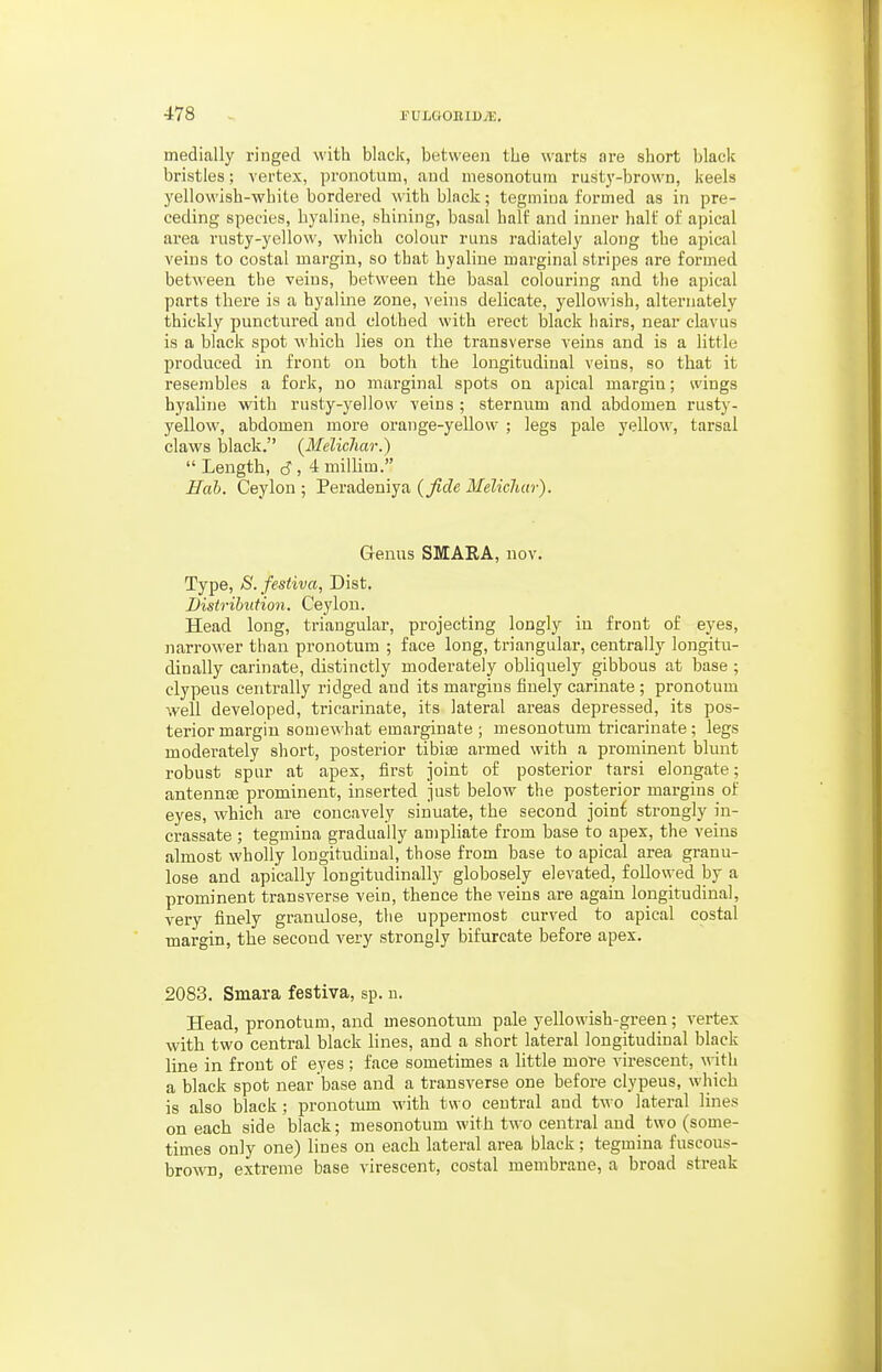 medially ringed with black, between the warts are short black bristles; vertex, pronotum, and mesonotuin rust3'-brown, keels yellowish-white bordered with black; tegmiua formed as in pre- ceding species, hyaline, shining, basal half and inner half of apical area rnsty-yellow, which colour runs radiately along the apical veins to costal margin, so that hyaline marginal stripes are formed between the veins, between the basal coloui-ing and the apical parts there is a hyaline zone, veins delicate, yellowish, alternately thickly punctured and clothed with erect black hairs, near clavus is a black spot which lies on the transverse veins and is a little produced in front on both the longitudinal veins, so that it resembles a fork, no mai'ginal spots on apical margin; wings hyaline with rusty-yellow veins ; sternum and abdomen rusty- yellow, abdomen more orange-yellow ; legs pale yellow, tarsal claws black. (MelicJiar.)  Length, d , 4 millim. Hab. Ceylon ; Peradeniya (Jide MelicJuir). Genus SMARA, nov. Type, S.festiva, Dist. Distribution. Ceylon. Head long, triangular, projecting longly in front of eyes, narrower than pi'onotum ; face long, triangular, centrally longitu- dinally carinate, distinctly moderately obliquely gibbous at base; clypeus centrally ridged and its margins finely carinate ; pronotum well developed, tricarinate, its lateral areas depressed, its pos- terior margin somewhat emarginate ; mesonotum tricarinate; legs modei'ately short, posterior tibise armed with a prominent blunt robust spur at apex, first joint of posterior tarsi elongate; antennsE prominent, inserted just below the posterior margins of eyes, which are concavely sinuate, the second joint strongly in- crassate ; tegmina gradually ampliate from base to apex, the veins almost wholly longitudinal, those from base to apical area granu- lose and apically longitudinally globosely elevated, followed by a prominent transverse vein, thence the veins are again longitudinal, very finely granulose, the uppermost curved to apical costal margin, the second very strongly bifurcate before apex. 2083. Smara festiva, sp. u. Head, pronotum, and mesonotum pale yellowish-green; vertex with two central black lines, and a short lateral longitudinal black line in front of eyes ; face sometimes a little more virescent, with a black spot near base and a transverse one before clypeus, which is also black; pronotum with two central and two lateral lines on each side black; mesonotum with two central and two (some- times only one) lines on each lateral area black; tegmina fuscous- brown, extreme base virescent, costal membrane, a broad streak