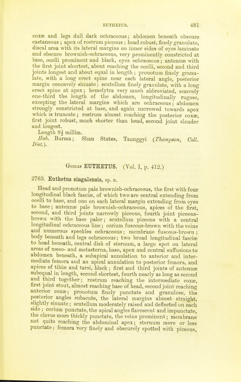 C0XS3 and legs dull dark ochi-aceous; abdomen beneath obscure castaneous ; apex of rostrum piceous ; head robust, finely granulate, discal area with its lateral margins ou inner sides of eyes laminate and obscure brownish-ochraceous, very prominently constricted at base, ocelli prominent and black, eyes ochraceous; antenuie with the first joint shortest, about reaching the ocelli, second and third joints longest and about equal in length ; pronotum finely granu- late, with a long erect spine near each lateral angle, posterior margin eoncavely sinuate; scutellum finely granulate, with a long erect spine at apex; hemelytra very much abbreviated, scarcely one-third the length of the abdomen, longitudinally rugose, excepting the lateral margins which are ochraceous; abdomen strongly constricted at base, and again narrowed towards apex which is truncate; rostrum almost reaching the posterior cox£e, first joint robust, much shorter than head, second joint slender and longest. Length 8| millim. Eah. Burma; Shan States, Taunggyi {Thompson, Coll. Disi.). Genus EUTHETUS. (Vol. I, p. 412.) 2763. Euthetus siugalensis, sp. n. Head and pronotum pale brownish-ochraceous, the first with four longitudinal black fasciae, of which two are central extending from ocelli to base, and one on each lateral margin extending from eyes to base; antennae pale brownish-ochraceous, apices of the first, second, and third joints narrowly piceous, fourth joint piceous- brown ^yith the base paler; scutellum piceous with a central longitudinal ochraceous line; corium fuscous-brown with the veins and numerous speckles ochraceous; membrane fuscous-brown ; body beneath and legs ochraceous; two broad longitudinal fasciae to head beneath, central disk of sternum, a large spot on lateral areas of meso- and metasterna, base, apex and central suffusions to abdomen beneath, a subapical annulation to anterior and inter- mediate femora and an apical annulation to posterior femora, and apices of tibife and tarsi, black ; first and third joints of antenuje subequal in length, second shortest, fourth nearly as long as second and third together; rostrum reaching the intermediate coxte, first joint stout, almost reaching base of head, second joint reaching anterior coxae; pronotum finely punctate and granulose, the po8terior_ angles subacute, the lateral margins almost straight, slightly sinuate; scutellum moderately raised and deflected on each side ; corium punctate, the apical angles flavescent and impunctate, the clavus more thickly punctate, the veins prominent; membrane not quite reaching the abdominal apex; sternum more or less punctate; femora very finely and obscurely spotted with piceous,