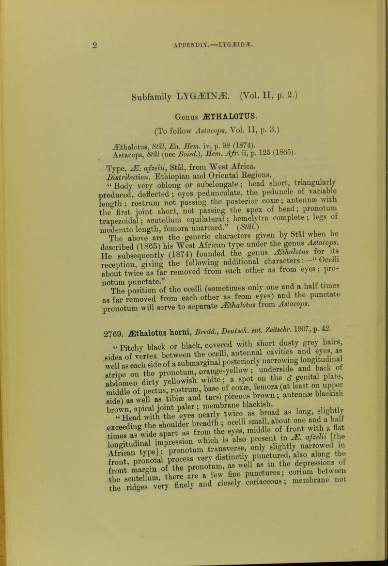 Subfamily LYG^IN^. (Vol. II, p. 2.) Geuus aiTHALOTUS. (To follow Astacojjs, Vol. II, p. 3.) ^thalotus, Sm, En. Hem. iv, p. 98 (1874). Astacops, SiMl (nec Boisd.), Hem. Afr. li, p. 125 (1865). Type, 2E. afzelii, Stll, from West Africa. Distribution. Ethiopian and Oriental Eegions. Body very oblong or subelongate; bead short, triangularly produced, deflected ; eyes pedunculate, the peduncle of variable length ; rostrum not passing the posterior coxae; antenna} with the first joint short, not passing the apex of head; pronotum trapezoidal; scutellum equilateral; hemelytra complete ; legs ot moderate length, femora unarmed. {St&l.) _ The above are the generic characters given by btai \vhen he described (1865) his West African type under the genus Astacops. He subsequently (1874) founded the genus^thalotus for its reception, giving the following additional charactersOcelh about twi^ce as far removed from each other as from eyes; pro- S pos^ition^of the ocelh (sometimes only one and a half times as far removed from each other as from eyes) and the punctate pronotum will serve to separate mhalotns from Astacojps. 2769. .ffithalotus horni, Bredd., Deutsch. ent. Zeitschr. 1907, p. 42.  Pitchy black or black, covered with short dusty grey hairs sides of vertex between the oceUi, antennal cavities and eyes, a well as each side of a submarginal posteriorly narrowing longitudinal Tripe on tbe pronotum, orange-yellow ; underside and back of Smen dirty yellowish white; a spot on the d gemtal plate, S of nectus rostrum, base of cox^, femora (at least on upper Sitf slu in^^^^^ and tarsi piceous brown; antenna, blackish ^^?i;J^ljt:e^^^^^ as long, « exceSrnrthe shouldJr breadth ; -111 sma U times as wide apart as ^^^^^^^^^^^^f in ^. afzelii [the African typej, piono ^j^^^^^i punctured, also along the front, P^o^.o^al process very a / ^ . depressions of front margin of the pronotum, aBJ^el ^^^.F^ ^^^^^^^^ fh: Td^t v^r^fi-^^^^ ^^'^^^^