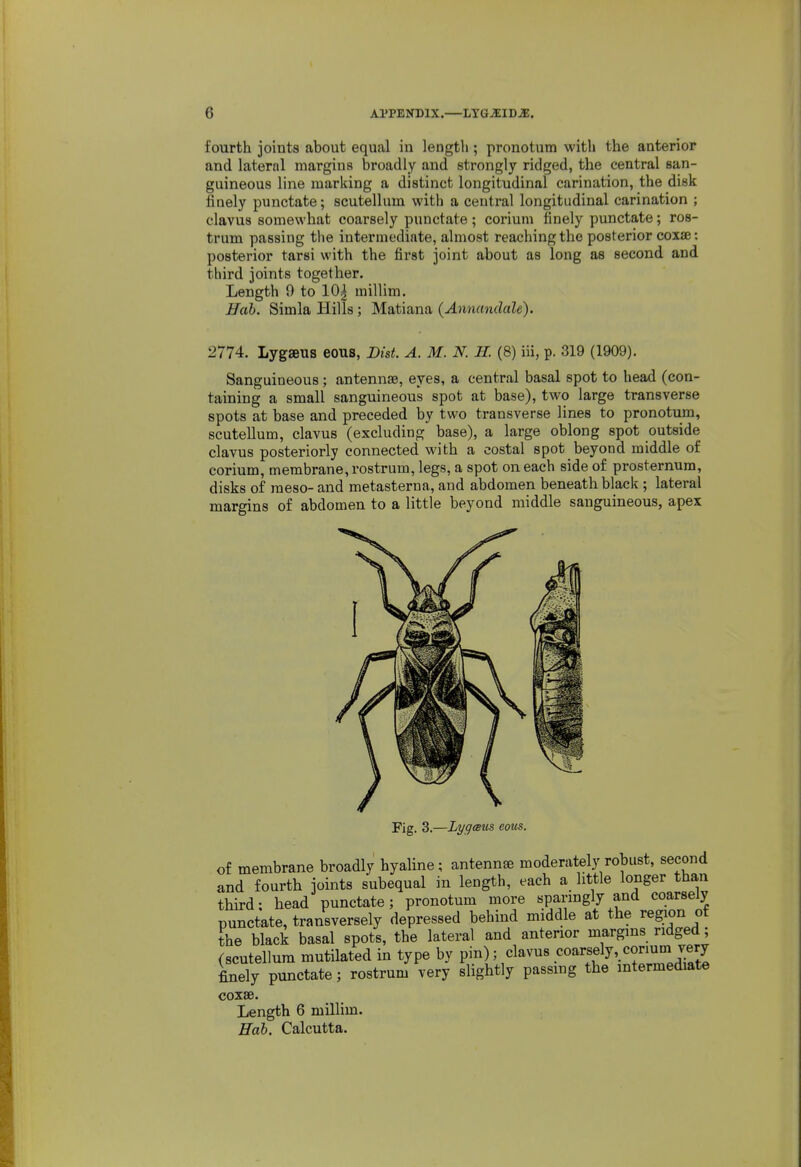 fourth joints about equal in length ; pronotum with the anterior and lateral margins broadly and strongly ridged, the central san- guineous line marking a distinct longitudinal carination, the disk finely punctate; scutellum with a central longitudinal carination ; clavus somewhat coarsely punctate ; coriuni finely punctate; ros- trum passing the intermediate, almost reaching the posterior coxae: posterior tarsi with the first joint about as long as second and third joints together. Length 9 to 10| millim. Hab. Simla Hills ; Matiana {Annandale). 2774. Lygaeus ecus, BisL A. M. N. 11. (8) iii, p. 319 (1909). Sanguineous; antennae, eyes, a central basal spot to head (con- taining a small sanguineous spot at base), two large transverse spots at base and preceded by two transverse lines to pronotum, scutellum, clavus (excluding base), a large oblong spot outside clavus posteriorly connected with a costal spot beyond middle of corium, membrane, rostrum, legs, a spot on each side of prosternum, disks of raeso- and metasterna, and abdomen beneath black ; lateral margins of abdomen to a little beyond middle sanguineous, apex Fig. 3.—LygcBus eotcs. of membrane broadly hyaline; antenna moderately robust, second and fourth joints subequal in length, each a little longer than third; head punctate; pronotum more sparingly and coarsely punctate, transversely depressed behind middle at the region ot the black basal spots, the lateral and anterior margins ridged; (scutellum mutilated in type by pin); clavus coarsely, corium very finSy punctate; rostrum very slightly passing the intermediate coxae. Length 6 millim. Hab. Calcutta.