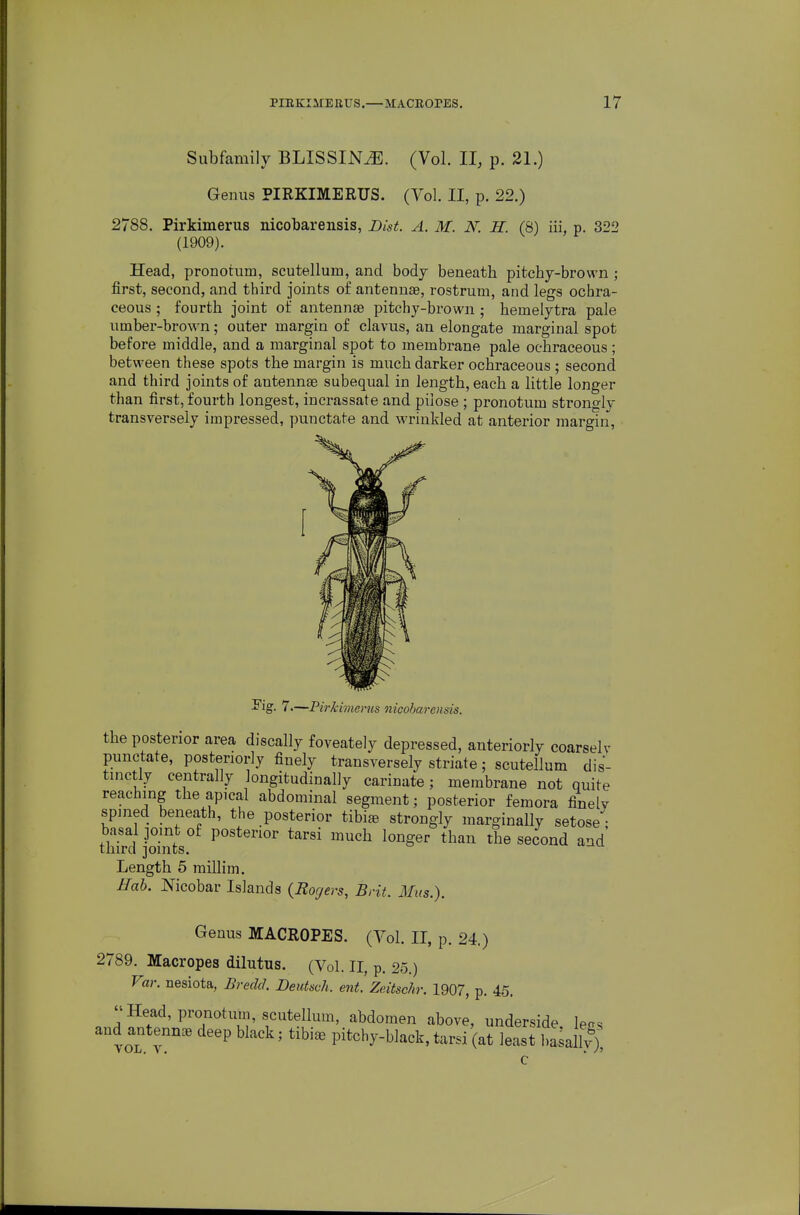 Subfamily BLISSIN^. (Vol. II, p. 21.) Genus PIRKIMERUS. (Vol. II, p. 22.) 2788. Pirkimerus nicobareiisis, Bist. A. M. N. H. (8) iii, p. 322 (1909). Head, pronotum, scutellum, and body beneatb pitchy-brown ; first, second, and third joints of antennae, rostrum, and legs ochra- ceous; fourth joint of antennae pitchy-brown ; hemelytra pale umber-brown; outer margin of clavus, an elongate marginal spot before middle, and a marginal spot to membrane pale ochraceous; between these spots the margin is much darker ochraceous ; second and third joints of antennae subequal in length, each a little longer than first, fourth longest, incrassate and pilose ; pronotum strongly transversely impressed, punctate and wrinkled at anterior margin, ^jg- 7.—Pirkimenis nicobareiisis. the posterior area discally foveately depressed, anteriorly coarselv punctate, posteriorly finely transversely striate; scutellum dis- tinctly centrally longitudinally carinate; membrane not quite reaching the apical abdominal segment; posterior femora finelv spmed beneath, the posterior tibiae strongly marginally setose'; basal 30int of posterior tarsi much longer than the second and tliircl joints. Length 5 raillim. Ifab. Nicobar Islands (Rogers, Brit. IIus.). Genus MACROPES. (Vol. II, p. 24.) 2789. Macropes dilutus. (Vol. II, p. 25.) Far. nesiota, Bredd. Deiitsch. ent. Zeitschr, 1907, p. 45. Head, pronotum, scutellum, abdomen above, underside le«s and antenna deep black; tibia) pitchy-black, tarsi (at least hasalh?)