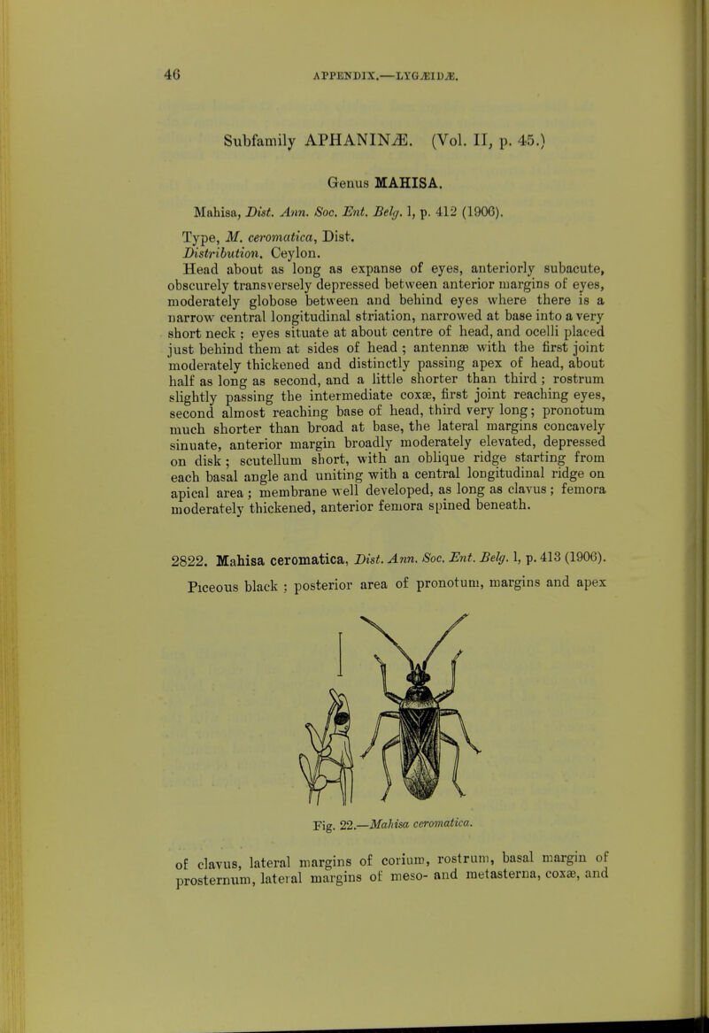 Subfamily APHANINtE. (Vol. II, p. 45.) Genus MAHISA. Mahisa, Dist. Ann. Soc. Ent. Belg. 1, p. 412 (1906). Type, M. ceromatica, Dist. Distribution. Ceylon. Head about as long as expanse of eyes, anteriorly subacute, obscurely transversely depressed between anterior margins of eyes, moderately globose between and behind eyes where there is a narrow central longitudinal striation, narrowed at base into a very short neck ; eyes situate at about centre of head, and oceUi placed just behind them at sides of head ; antennae with the first joint moderately thickened and distinctly passing apex of head, about half as long as second, and a little shorter than third ; rostrum slightly passing the intermediate coxse, first joint reaching eyes, second almost reaching base of head, third very long; pronotum much shorter than broad at base, the lateral margins concavely sinuate, anterior margin broadly moderately elevated, depressed on disk ; scutellum short, with an oblique ridge starting from each basal angle and uniting with a central longitudinal ridge on apical area ; membrane well developed, as long as clavus ; femora moderately thickened, anterior femora spined beneath. 2822. Mahisa ceromatica, Dist. Ann. Soc Ent. Belg. 1, p. 413 (1906). Piceous black ; posterior area of pronotum, margins and apex Fig. 22.—Mahisa ceromatica. of clavus, lateral margins of coiium, rostrum, basal margin of prosternum, lateral margins of meso- and raetasterna, coxae, and