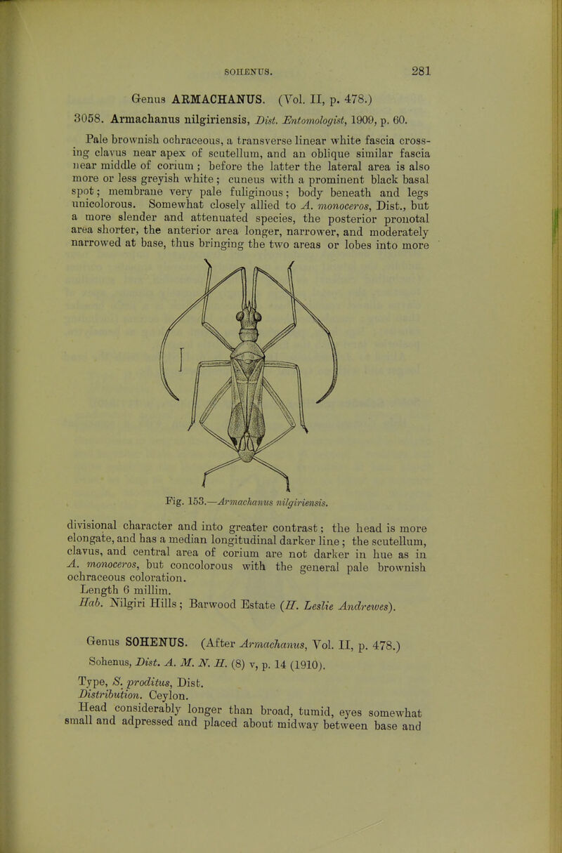 Genus ARMACHANUS. (Yol. II, p. 478.) 3058. Armachanus iiilgiriensis, Bist. Entomologist, 1909, p. 60. Pale brownish ochraceous, a transverse linear white fascia cross- ing clavus near apex of seutellura, and an oblique similar fascia near middle of corium ; before the latter the lateral area is also more or less greyish white; cuneus with a prominent black basal spot; membrane very pale f uhginous; body beneath and legs nnicolorous. Somewhat closely allied to A. monoceros, Dist., but a more slender and attenuated species, the posterior pronotal area shorter, the anterior area longer, narrower, and moderately narrowed at base, thus bringing the two areas or lobes into more divisional character and into greater contrast; the head is more elongate, and has a median longitudinal darker line; the scutellum, clavus, and central area of corium are not darker in hue as in A. monoceros, but concolorous with the general pale brownish ochraceous coloration. Length 6 millim. Eab. migiri Hills; Barwood Estate (R. Leslie Anch 'ewes). Genus SOHENUS. (After Armachanus, Vol. II, p. 478.) Sohenus, Dist. A. M. N. H. (8) v, p. 14 (1910). Type, >S. proditus, Dist. Distribution. Ceylon. Head considerably longer than broad, tumid, eyes somewhat small and adpressed and placed about midway between base and Fig. 153.—Armachamis nilgiriensis.