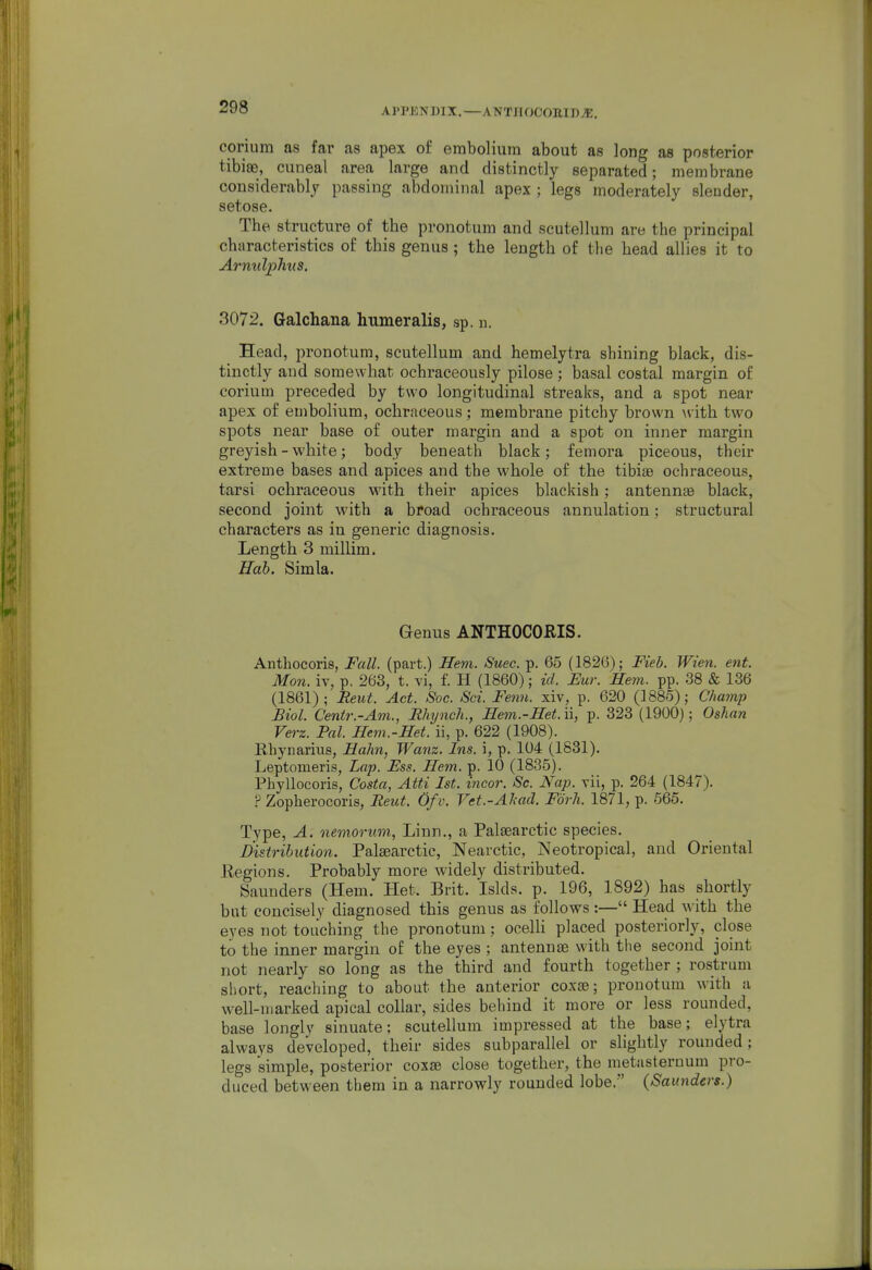 APPKNDIX.—ANTnoOOEin^E. corium as far as apex of emboliura about as long as posterior tibise, cuneal area large and distinctly separated; membrane considerably passing abdominal apex ; legs moderately slender, setose. The structure of the pronotum and scutellum are the principal characteristics of this genus ; the length of the head allies it to Armdplms. 3072. Galchana humeralis, sp. n. Head, pronotum, scutellum and hemelytra shining black, dis- tinctly and somewhat, ochraceously pilose; basal costal margin of corium preceded by two longitudinal streaks, and a spot near apex of embolium, ochraceous; membrane pitchy brown with two spots near base of outer margin and a spot on inner margin greyish - white; body beneath black; femora piceous, their extreme bases and apices and the whole of the tibiae ochraceous, tarsi ochraceous with their apices blackish; antennas black, second joint with a broad ochraceous annulation; structural characters as in generic diagnosis. Length 3 millim. Hah. Simla. Genus ANTHOCORIS. Anthocoris, Fall, (part.) Hem. Suec. p. 65 (1826); Fieb. Wien. ent. Mon. iv, p. 263, t. tI, f. H (1860); id. Eur. Hem. pp. 38 & 136 (1861); Rent. Act. Soc. Set. Fenn. xiv, p. 620 (1885); Champ Biol. Cenir.-Am., Rhynch., Hem.-Het.u, p. 323 (1900); Oshan Verz. Pal. Hem.-Het. ii, p. 622 (1908). Rhynarius, Hahn, Wanz. Ins. i, p. 104 (1831). Leptomeris, Lap. Ess. Hem. p. 10 (1835). Phyllocoris, Costa, Atti 1st. incor. Sc. Nap. vii, p. 264 (1847). ? Zopherocoris, Reut. Of v. Vet.-Ahad. Fork. 1871, p. 565. Type, A. nemorum, Linn., a Palaearctic species. Distribution. Palsearctic, Nearctic, Neotropical, and Oriental Regions. Probably more widely distributed. Saunders (Hem. Het. Brit. Islds. p. 196, 1892) has shortly but concisely diagnosed this genus as follows :— Head with the eyes not touching the pronotum; ocelH placed posteriorly, close to the inner margin of the eyes ; antennae with tlie second joint not nearly so long as the third and fourth together ; rostrum short, reaching to about the anterior coxae; pronotum with a well-marked apical collar, sides behind it more or less rounded, base longly sinuate; scutellum impressed at the base; elytra always developed, their sides subparallel or slightly rounded; legs simple, posterior coxae close together, the metasteruum pro- duced between them in a narrowly rounded lobe. (Saunders.)