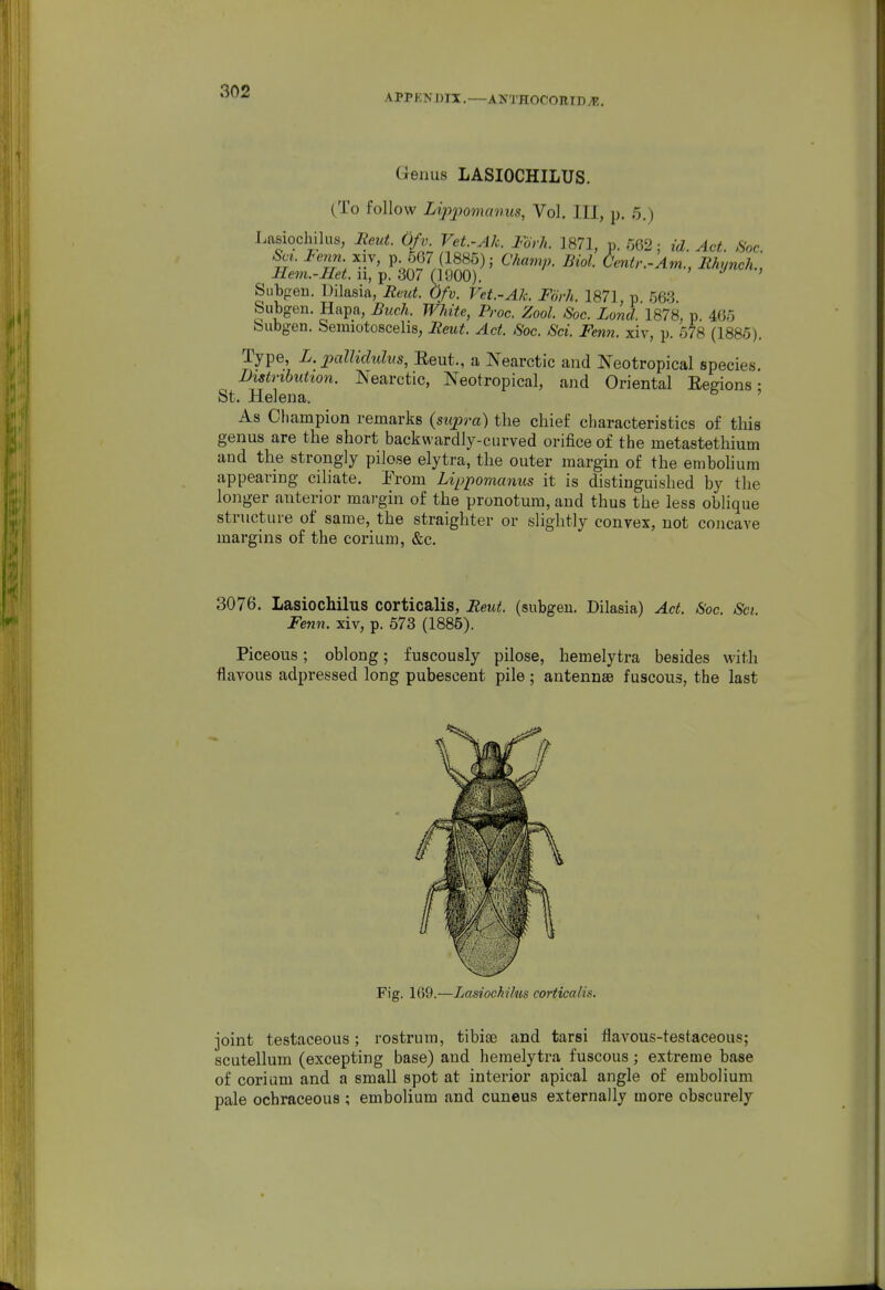 APPENDIX. —ANTHOCOmD M. Genus LASIOCHILUS. (To follow Lipjjomanus, Vol. Ill, p. 5.) Lasiochilus, lieut. Of v. Vet.-Ah. Fork. 1871, p. /562: id. Act. Soc Sci. Icmn XIV, p 667 (1885); Cha7np. Biol. dentr.-Am., Rhyneh., Bem.-IIet. n,-p.'307 QQOO). ' ' Siibgen. Dilasia, Reut. Ofv. Vet.-Ak. Fork. 187] p 563 Subgeu. Hapa, Buck. White, Proc. Zool. Soc. Bond. 1878, p. 465 bubgen. Semiotoscelis, Reut. Act, Soc. Sci. Fenn. xiv, p. 578 (1885). Type, L. palliclulus, Eeut., a Nearctic and Neotropical species. Distribution. Nearctic, Neotropical, and Oriental Eegions • St. Helena. ' As Champion remarks {supra) the chief characteristics of this genus are the short backwardly-curved orifice of the metastethium and the strongly pilose elytra, the outer margin of the emboliura appearing ciliate. Erom Lippomanus it is distinguished by the longer anterior margin of the pronotum, and thus the less oblique structure of same, the straighter or slightly convex, not concave margins of the corium, &c. 3076. Lasiochilus corticalis, Reut. (subgeu. Dilasia) Act. Soc. Sci. Fenn. xiv, p. 573 (1885). Piceous; oblong; fuscously pilose, hemelytra besides with flavous adpressed long pubescent pile; antennae fuscous, the last Fig. 169.—Lasiochilus corticalis. joint testaceous; rostrum, tibiae and tarsi flavous-testaceous; scutellum (excepting base) and hemelytx'a fuscous; extreme base of corium and a small spot at interior apical angle of embolium pale ochraceous ; embolium and cuneus externally more obscurely