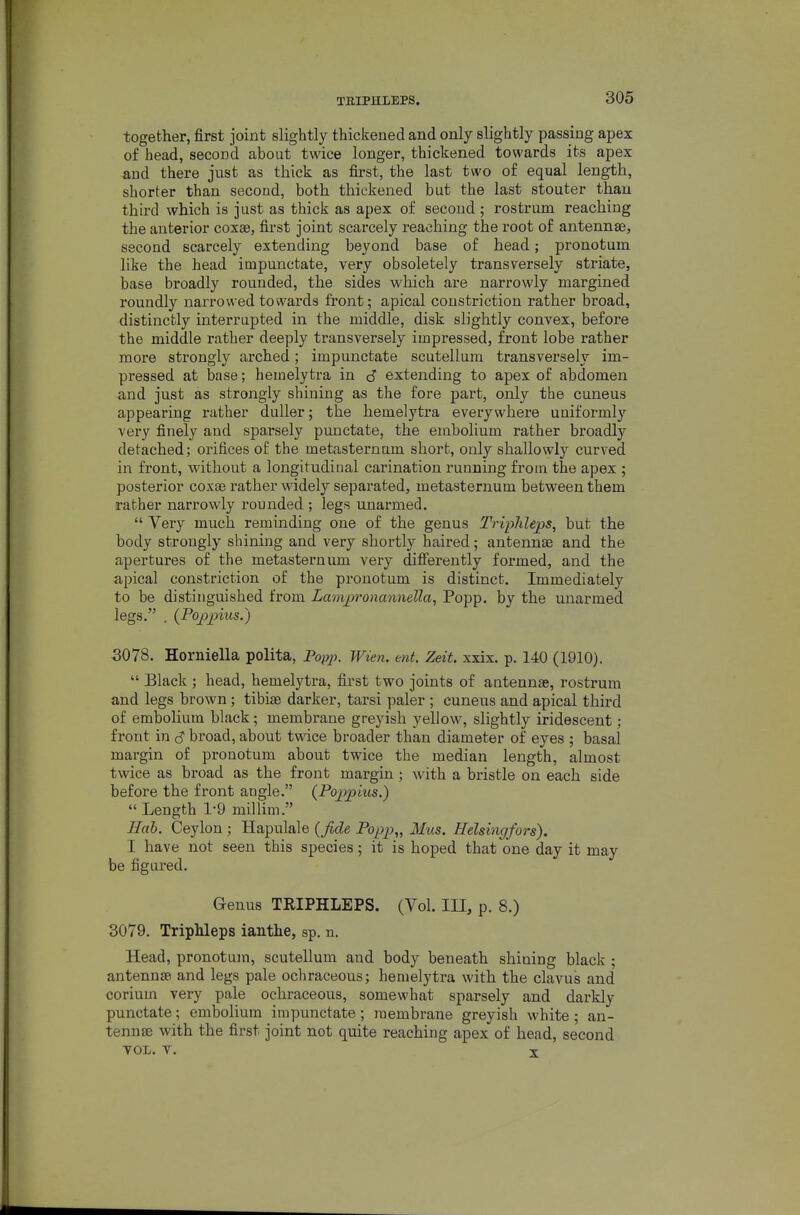 together, first joint slightly thickened and only slightly passing apex o£ head, second about twice longer, thickened towards its apex -and there just as thick as first, the last two of equal length, shorter than second, both thickened but the last stouter than third which is just as thick as apex of second ; rostrum reaching the anterior coxae, first joint scarcely reaching the root of antennae, second scarcely extending beyond base of head; pronotum like the head impunctate, very obsoletely transversely striate, base broadly rounded, the sides which are narrowly margined roundly narrowed towards front; apical constriction rather broad, distinctly interrupted in the middle, disk slightly convex, before the middle rather deeply transversely impressed, front lobe rather more strongly arched; impunctate scutellum transversely im- pressed at base; hemelytra in J extending to apex of abdomen and just as strongly shining as the fore part, only the cuneus appearing i-ather duller; the hemelytra everywhere uniformly very finely and sparsely punctate, the embolium rather broadly detached; orifices of the metasternum short, only shallowly curved in front, without a longitudinal carination running from the apex ; posterior coxse rather widely separated, metasternum between them rather narrowly rounded ; legs unarmed.  Very much reminding one of the genus Triphleps, but the body strongly shining and very shortly haired; antennae and the apertures of the metasternum very difierently formed, and the apical constriction of the pronotum is distinct. Immediately to be distinguished from Lamioronannella, Popp. by the unarmed legs. . {Poj)]pius.) 3078. Horniella polita, Popp. Wien, ent. Zeit. xxix. p. 140 (1910).  Black ; head, hemelytra, first two joints of antennae, rostrum and legs brown; tibiae darker, tarsi paler ; cuneus and apical third of embolium black; membrane greyish yellow, slightly iridescent; front in S broad, about twice broader than diameter of eyes ; basal margin of pronotum about twice the median length, almost twice as broad as the front margin ; with a bristle on each side before the front angle. (Pojypius.)  Length 1-9 millim. Hab. Ceylon ; Hapulale (Jide Popp,, Mus. Helsingfors). I have not seen this species; it is hoped that one day it may be figured. Genus TRIPHLEPS. (Vol. Ill, p. 8.) 3079. Triphleps ianthe, sp. n. Head, pronotum, scutellum and body beneath shining black ; antennae and legs pale ochraceous; hemelytra with the clavus and corium very pale ochraceous, somewhat sparsely and darkly punctate; embolium impunctate; membrane greyish white; an- tennae with the first joint not quite reaching apex of head, second YOL. Y. T