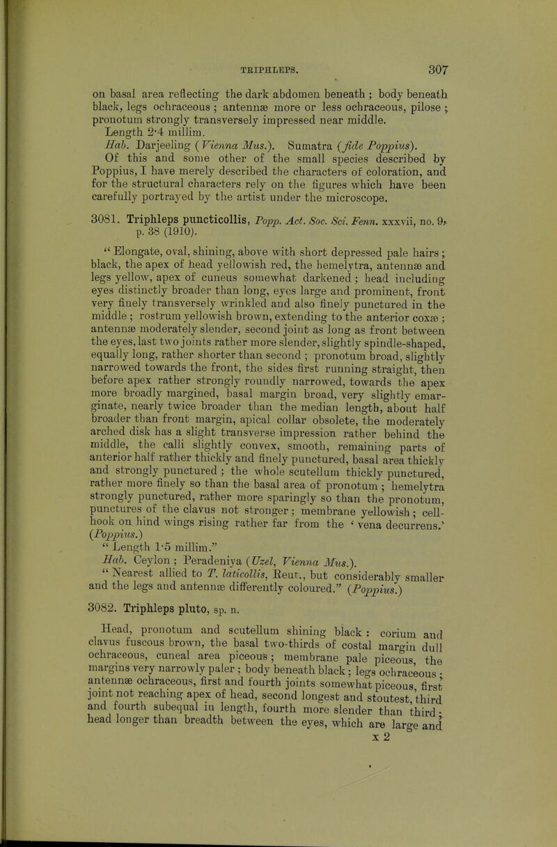 on basal area reflecting the dark abdomen beneath ; body beneath black, legs ochraceous ; antennae more or less ochraceous, pilose ; pronotum strongly transversely impressed near middle. Length 2*4 millim. Hah. Darjeeliug ( Vienna Mus.). Sumatra {Jtde Poppius). Of this and some other of the small species described by Poppius, I have merely described the characters of coloration, and for the structural characters rely on the figures which have been carefully portrayed by the artist under the microscope. 3081. TripMeps puncticoUis, Popp. Act. Soc. Sci. Fenn. xxxvii, no. 9> p. 38 (1910).  Elongate, oval, shiniag, above with short depressed pale hairs ;, black, the apex of head yellowish red, the hemelytra, antennas and legs yellow, apex of cuneus somewhat darkened ; head including eyes distinctly broader than long, eyes large and prominent, front very finely transversely wrinkled and also finely punctured in the middle ; rostrum yellowish brown, extending to the anterior coxje ; antennae moderately slender, second joint as long as front between the eyes, last two joints rather more slender, slightly spindle-shaped, equally long, rather shorter than second ; pronotum broad, slightly narrowed towards the front, the sides first running straight, then before apex rather strongly roundly narrowed, towards the' apex more broadly margined, basal margin broad, very slightly emar- ginate, nearly twice broader than the median length, about half broader than front margin, apical collar obsolete, the moderately arched disk has a slight transverse impression rather behind the middle, the calli slightly convex, smooth, remaining parts of anterior half rather thickly and finely punctured, basal area thickly and strongly punctured ; the whole scutellum thickly punctured, rather more finely so than the basal area of pronotum; hemelytra strongly punctured, rather more sparingly so than the pronotum, punctures of the clavus not stronger; membrane yellowish; cell- hook on hind wings risiug rather far from the ' vena decurrens.' {Po2yj)ius.)  Length 1-5 millim. Hab. Ceylon; Peradeniya (C/zeZ, Vienna Mus.).  Nearest allied to T. idticollis, Eeur., but considerably smaller and the legs and antennae differently coloured. {Poppius.) 3082. TripMeps pluto, sp. n. Head, pronotum and scutellum shining black : corium and clavus fuscous brown, the basal two-thirds of costal margin dull ochraceous, cuneal area piceous; membrane pale piceous the margins very narrowly paler ; body beneath black; legs ochraceous • antennae ochraceous, first and fourth joints somewhat piceous first joint not reaching apex of head, second longest and stoutest third and fourth subequal in length, fourth more slender than third- head longer than breadth between the eyes, which are large and X 2