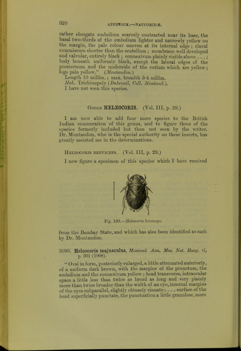 APPBICDIX. NA-UCOaiDJE. rather elongate einboliuin scarcely contracted near its base, the basal two-thirds of tho embolium lighter and narrowly yellow on the margin, the pale colour uneven at its internal edge ; claval commissure shorter than the scutellum ; membrane well developed and valvular, entirely black ; connexivum plainly visible above . . .; body beneath uniformly black, except the lateral edges of the presternum and the underside of the corium which are yellow; legs pale yellow. (Montandon.) Length 10 millim.; max. breadth 5-4 millim. Hab. Trichinopoly {Dubreuil, Coll, Montand.). I have not seen this species. Genus HELEOCORIS. (Vol. Ill, p. 29.) I am now able to add four more species to the British Indian enumeration of this genus, and to figure three of the species formerly included but then not seen by the writer. Dr. Montandon, who is the special authority on these insects, has greatly assisted me in the determinations. Heleocoeis beeviceps. (Vol. Ill, p. 29.) I now figure a specimen of this species which I have received Fig. 180.—Heleocoris breviceps. from the Bombay State, and which has also been identified as such by Dr. Montandon. 3096. Heleocoris majusculus, Montand. Ann. Mm. Nat. Hung, vi, p. 301 (1908).  Oval in form, posteriorly enlarged, a little attenuated anteriorly, of a uniform dark brown, with the margins of the prouotum, the embolium and the connexivum yellow ; head transverse, intraocular space a little less than twice as broad as long and very plainly more than twice broader than the width of an eye, internal margins of the eyes subparallel, slightly obtusely sinuate; . . . surface of the head superficially punctate, the punctuation a little granulose, more