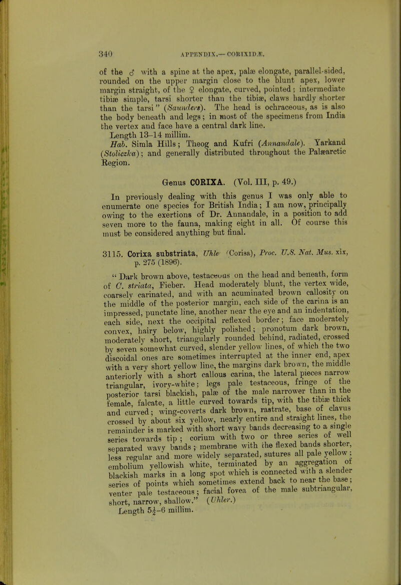 of the (S M'ith a spine at the apex, palae elongate, parallel-sided, rounded on the upper margin close to the blunt apex, lower margin straight, of the $ elongate, curved, pointed; intermediate tibi£e simple, tarsi shorter than the tibiae, claws hardly shorter than the tarsi (Saunders). The head is ochraceous, as is also the body beneath and legs; in most of the specimens from India the vertex and face have a central dark line. Length 13-14 millim. Hub. Simla Hills; Theog and Kufri (Annandale). Yarkand {Stoliczka); and generally distributed throughout the Palsearctic Eegion. Genus CORIXA. (Vol. ni, p. 49.) In previously dealing with this genus I was only able to enumerate one species for British India; I am now, principally owing to the exertions of Dr. Annandale, in a position to add seven more to the fauna, making eight in all. Of course this must be considered anything but final. 3115. Corixa substriata, Uhle^ ^Corisa), Proc. U.S. Nat. Mus. xix, p. 275 (1896).  Dark brown above, testaceuus on the head and beneath, form of C. striata, Fieber. Head moderately blunt, the vertex wide, coarsely carinated, and with an acuminated brown callosity on the middle of the posterior margin, each side of the carina is an impressed, punctate line, another near the eye and an indentation, each side, next the occipital reflexed border; face moderately convex, hairy below, highly polished; pronotum dark brown, moderately short, triangularly rounded behind, radiated, crossed by seven somewhat curved, slender yellow lines, of which the two discoidal ones are sometimes interrupted at the inner end, apex with a very short yellow line, the margins dark brown, the middle anteriorly with a short callous carina, the lateral pieces narrow triangular, ivory-white; legs pale testaceous, fringe of the posterior tarsi blackish, palje of the male naiTower than m the female, falcate, a little curved towards tip, with the tibiae thick and curved- wing-coverts dark brown, rastrate, base of clavus crossed by about six yellow, nearly entire and straight lines, the remainder is marked Avith short wavy bands decreasing to a single series towards tip; corium with two or tjiree series of well separated wavv bands; membrane with the flexed bands shorter, less regular and more widely separated, sutures all pale yellow; embolium yellowish white, terminated by an aggregation ot blackish marks in a long spot which is connected with a slender series of points which sometimes extend back to near the ba^e; venter pale testaceous ; facial fovea of the male subtriangular, short, narrow, shallow. (VJder.) Length 5|-6 miUim.