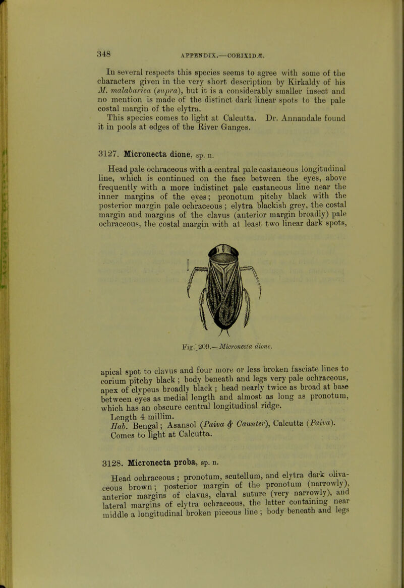 APPENDIX.—CORIXID^. lu several respects this species seems to agree with some of the characters given in the very short description by Kirkaldy of his M. malaharica {mpra), but it is a considerably smaller insect and no mention is made of the distinct dark linear spots to the pale costal margin of the elytra. This species comes to light at Calcutta. Dr. Annandale found it in pools at edges of the Eiver Ganges. 3127. Micronecta dione, sp. n. Head pale ochraceous with a central pale castaneous longitudinal line, which is continued on the face between the eyes, above frequently with a more indistinct pale castaneous line near the inner margins of the eyes; pronotum pitchy black with the posterior margin pale ochraceous ; elytra blackish grey, the costal margin and margins of the clavus (anterior margin broadly) pale ochraceous, the costal margin with at least two linear dark spots. Fig.'^209.— Micyronecta dione. apical spot to clavus and four more or less broken fasciate lines to corium pitchy black ; body beneath and legs very pale ochraceous, apex of clypeus broadly black ; head nearly twice as broad at base between eyes as medial length and almost as long as pronotum, which has an obscure central longitudinal ridge. Length 4 millim. . x Hah. Bengal; Asansol {Paiva ^ Caunter), Calcutta {Faiva). Comes to light at Calcutta. 3128. Micronecta proba, sp. n. Head ochraceous; pronotum, scutellum, and elytra dark oliva- ceous brown; posterior margin of the pronotum (narrowly;, anterior margins of clavus, claval suture (very narrowly), and lateral margins of elytra ochraceous, the latter containing near middle a longitudinal broken piceous line ; body beneath and legs