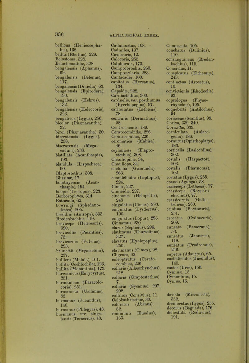 bellicus (Henicocepha- lus), 168. belhis (Ebutiiis), 229. Belostoma, 328. Beloptoniatidae, 328. bengalensis (Anhanus), 69. bengalensis (Belenus), 117. bengalensis (Diniolla), 63. bengalensis (Epirodera), 190. bengalensis (Hebrus), 132. bengalensis (Heleocoris), 323. bengalicus (Lygus), 256. bicolor (Pbtenacantba), 32. biroi (Phajnacantha), 30. biseratensis (Ljgus), 238. biseratensis (Mega- ccelum), 238. bistillata (Aeautbaspis), 193. blandula (Lispochroa), 90. Blaptostethus, 308. Blissinse, 17. bombayensis (Acan- tbaspis), 194. boopis (Leptopus), 223. Borboropbyes, 314. Botocudo, 62. bowringi (Spbedano- lestes), 205. breddini (Anisops), 333. Bredenbacbius, 119. breviceps (Heleocoris), 320. breTicoUis (Poeantiiis), 75. brevicornis (Fulvius), 293. bruuettii (Megacoelum), 237. biilliens CMalala), 101. biillita(Oochlochila), 123. buUita (Monanthia), 123. burruanicusfEurycvrtusX 251. burmanicns (Paracolo- coris), 251. burmanicus (Usilanus), 83. burmanus (Jucundus), 146. burmanus (Pblegyas), 43. burmanus, var. singa- lensis (Teracrius), 43. Cadamustus, 108. Cadmilos, 107. Cffinocoris, 12. Calocoris, 253. Oalphurnia, 173. Oauiptobrochis, 260. Oamptotylaria, 283. Oantacader, 100. capitatus (Hyrcanus), 134. Oapsidffi, 228. Oardiastethus, 300. carduelis, var. posthumus (Pyrrhopeplus), 97. carinulatus (Lethseus), 78. centralis (Dermatinus), 98. Oentrocnemis, 189. Oeratocombidffi, 226. Ceratocombus, 226. ceromatica (Mahisa), 46. ceylanicus (Blapto- stetbus), 308. Chauliopinffi, 34, Ohauliops, 34. cbelonia (Gismunda), 263. cicindeloides (Leptopus), 224. Cimex, 227. Cimicidffi, 227. cincbonse (Helopeltis), 248 cingulatus (Cimex), 293. cingulatus (Dysdercus), 100. cingulatus (Lopus), 293. Cinnamus, 230. clarus (Septicius), 296. clatbratuB (Thurselinus), 327. clavatus (Hyalopeplus), 250. clavimanus (Cimex), 98. Cligeues, 62. coleoptratus (Cerato- combus), 226. collaris (Alla;orhynchus), 218. collaris (Graptostetbus), 7. collaris (Sycanus), 207, 208. coUinuB (Consivius), 11. Oolobatbristina;, 30. coloratuB (Abanus), 82. communis (Euodxis), 163. Oompseuta, 105. concliatus (Dulinius), 110. consanguineus (Breden- bacbius), 119. Consivius, 11. conspicatus (Eltbemus), 243. continctus (Arocatus), 10. convictionis (Rbodoclia), 93. coprologus (Physo- rbynohus), 195. coqueberti (Antilochus), 94. coriaceus (Scantius), 99. Corixa, 339, 340. Corixife, 339. corniculata (Aulaco- genia), 186. cornutus (Opistboplatys), 183. corticalis (Lasiochilus), 302. costalis (Harpactor), 203. costalis (Pbatnoma), 102. costatus (Lygus), 255. crassa (Agunga), 58. crassiceps (Lethseus), 77. crassiceps (Rhyparo- chromus), 77. crassicornis (Gallo- belicus), 280. criuitus (Pbytocoris), 251. crocatus (Cydnocoris), 209. cuneala (Pamerana), 53. cuneatus (JanniEus), 118. cuneatus (Prodromus), 246. cupreus (Adauctus), 65. custodiendus (Jucundus), 145. custos (Ures), 150. Cyminte, 15. Cymouinus, 15. Oymus, 16. dasdala (Micronecta), 352. dccoloratus (Lygus), 255. decorus (Baguada), 176. delicatula (Reduvius), 191.